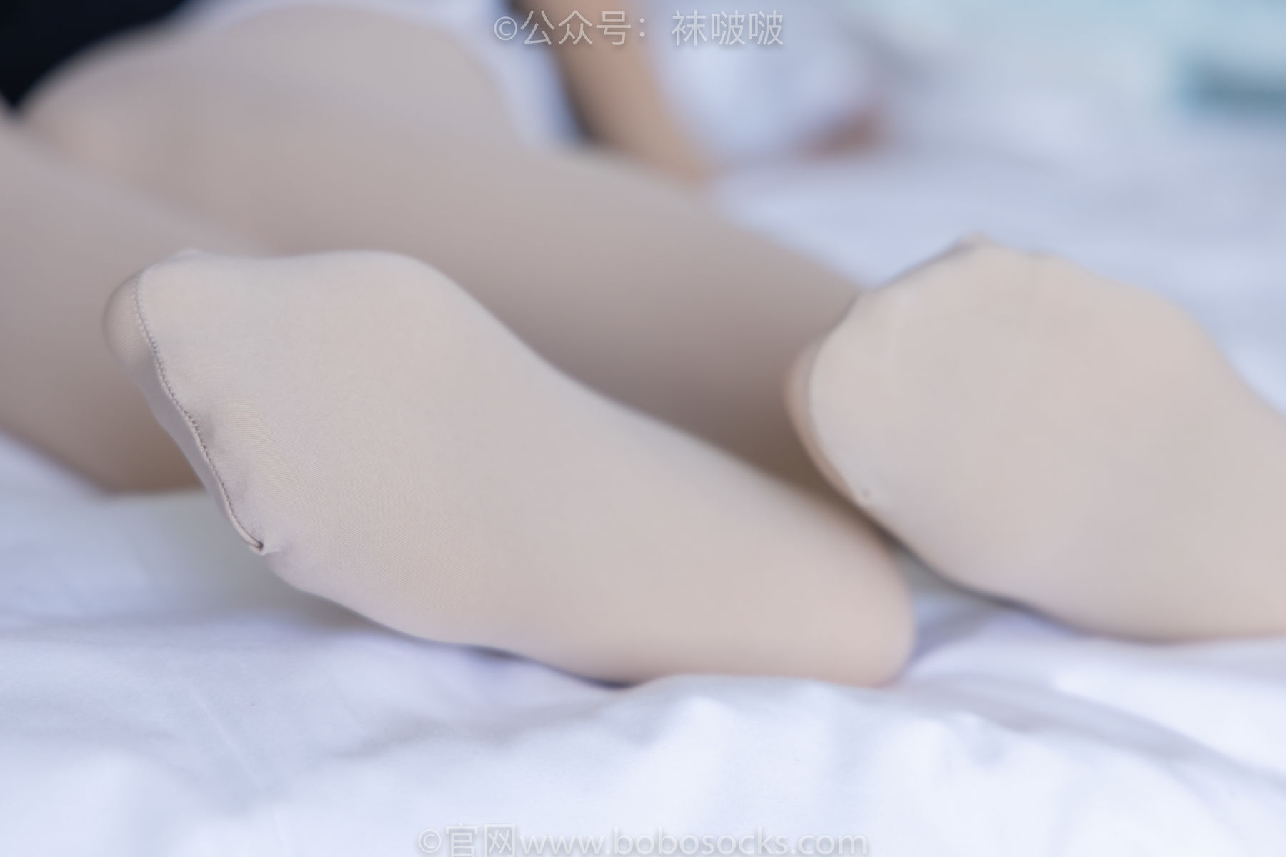 BoBoSocks袜啵啵 No.031 小奶熊-AJ板鞋、白棉袜、厚肉丝