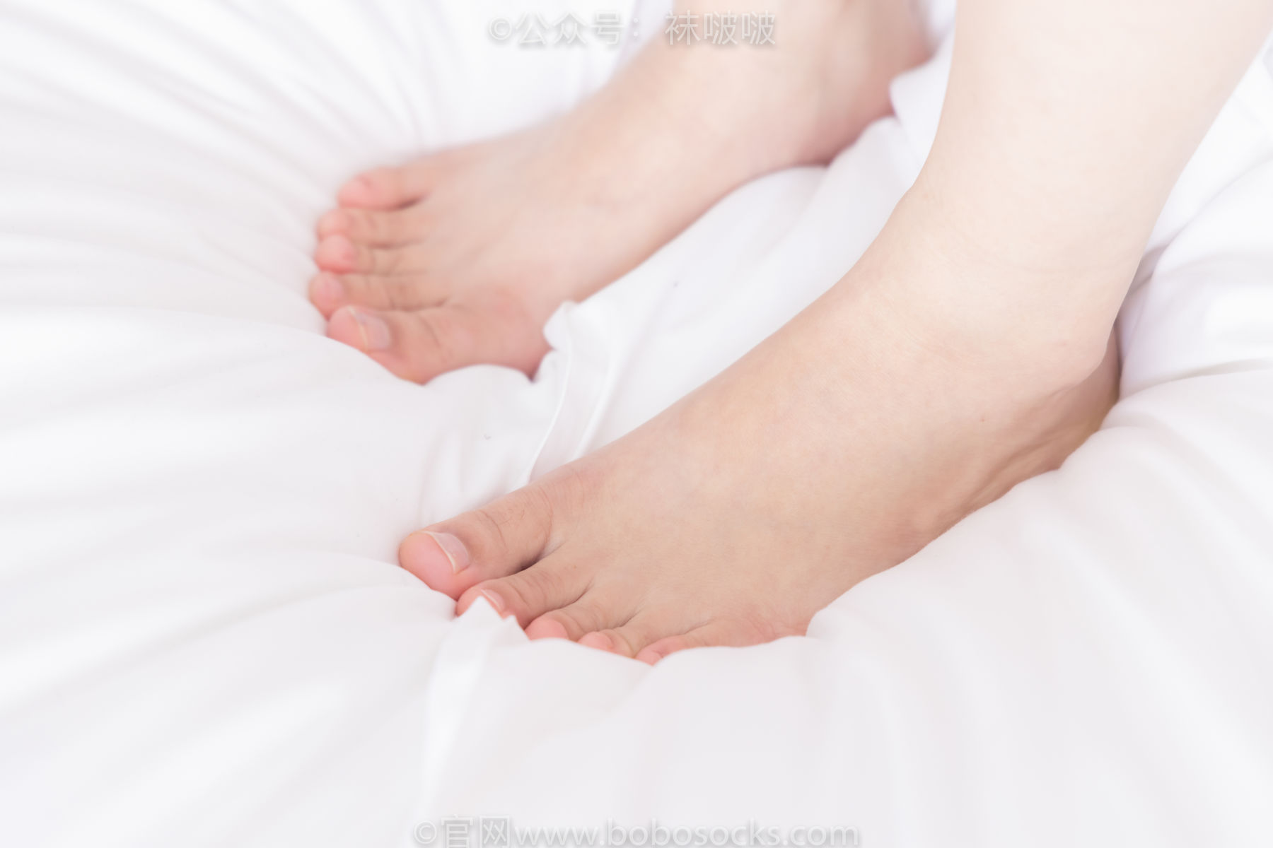 BoBoSocks袜啵啵 No.036 菠萝-帆布鞋、白棉袜、裸足