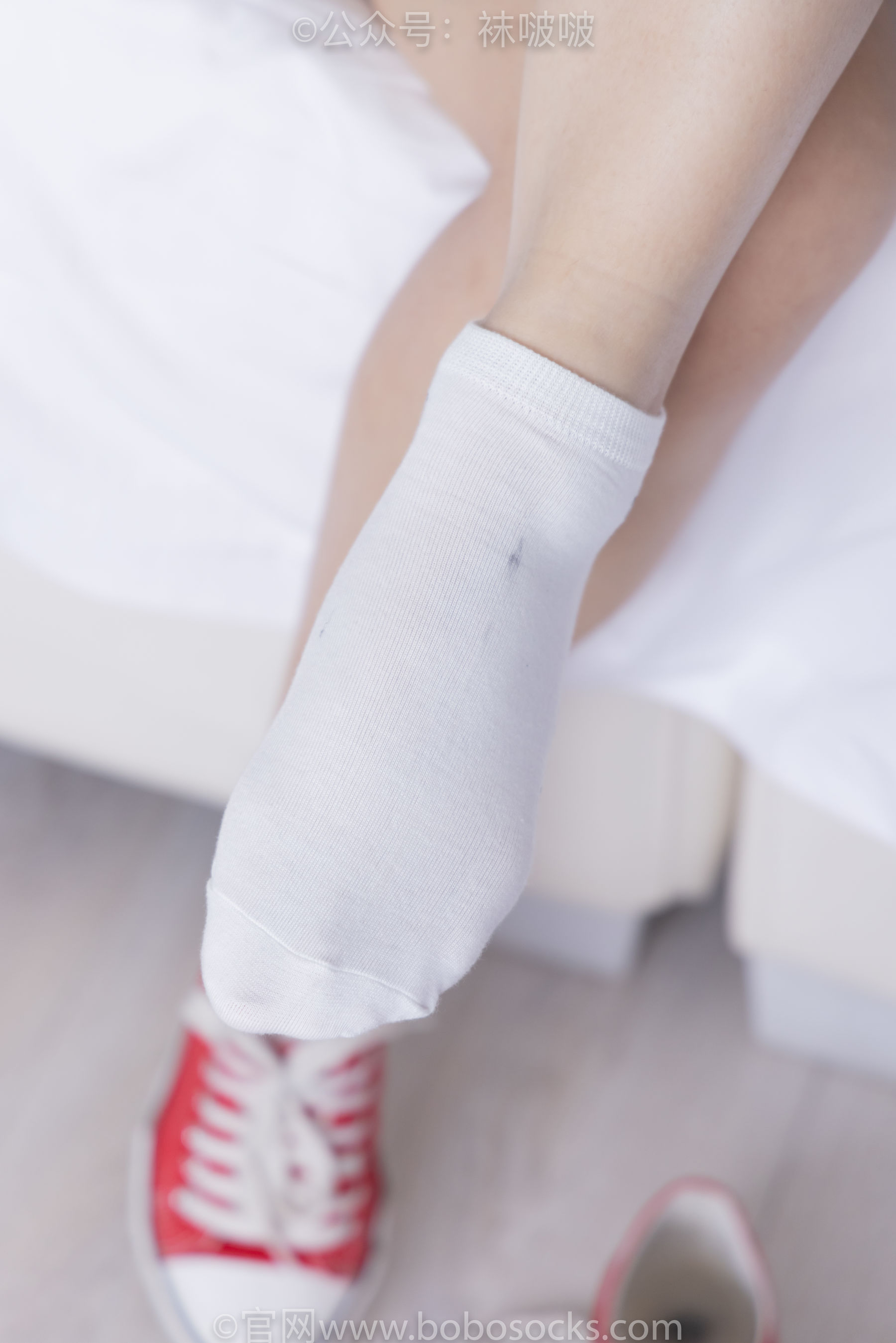 BoBoSocks袜啵啵 No.036 菠萝-帆布鞋、白棉袜、裸足