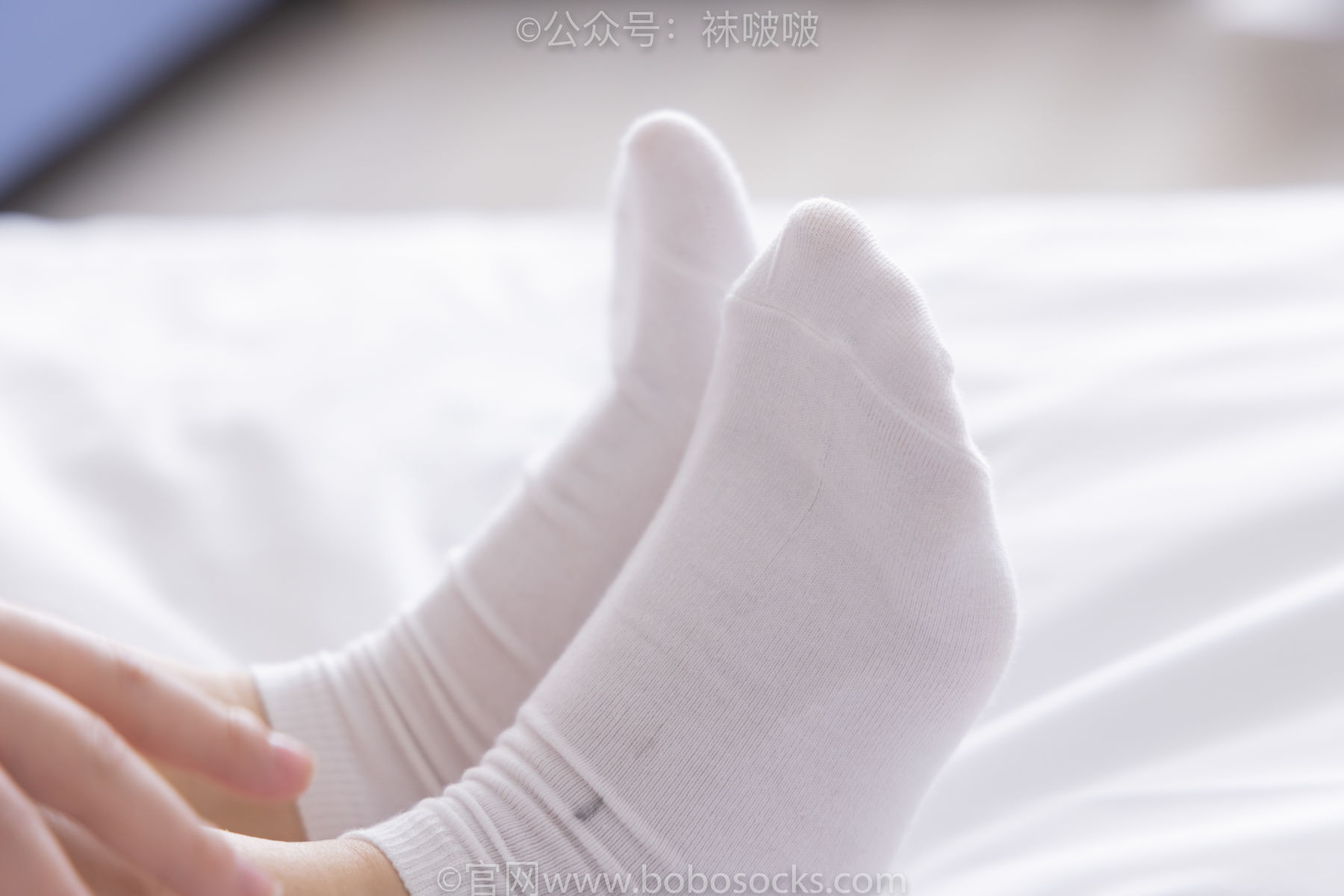 BoBoSocks袜啵啵 No.036 菠萝-帆布鞋、白棉袜、裸足