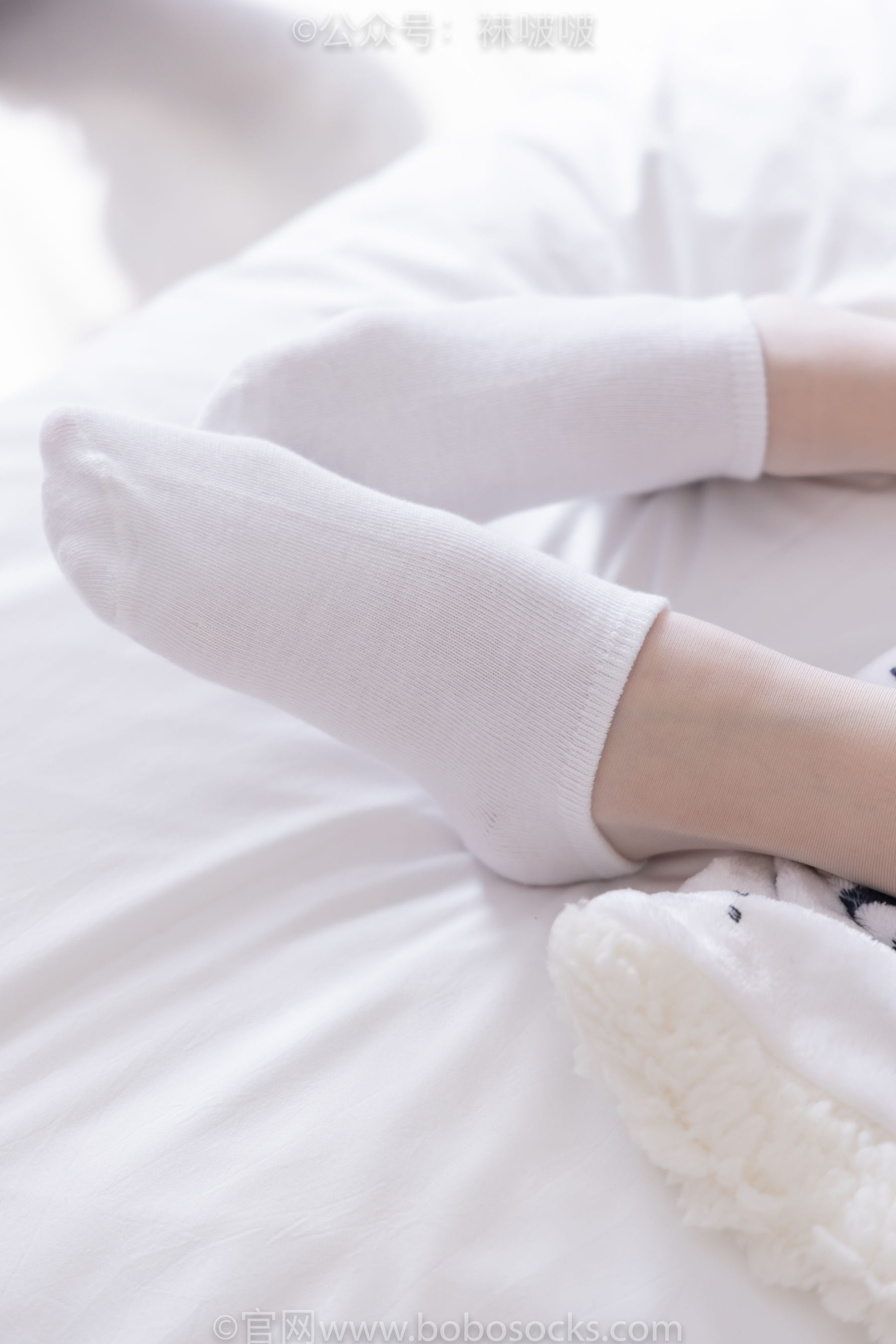 BoBoSocks袜啵啵 No.037 稚予-帆布鞋、短白棉袜、白丝