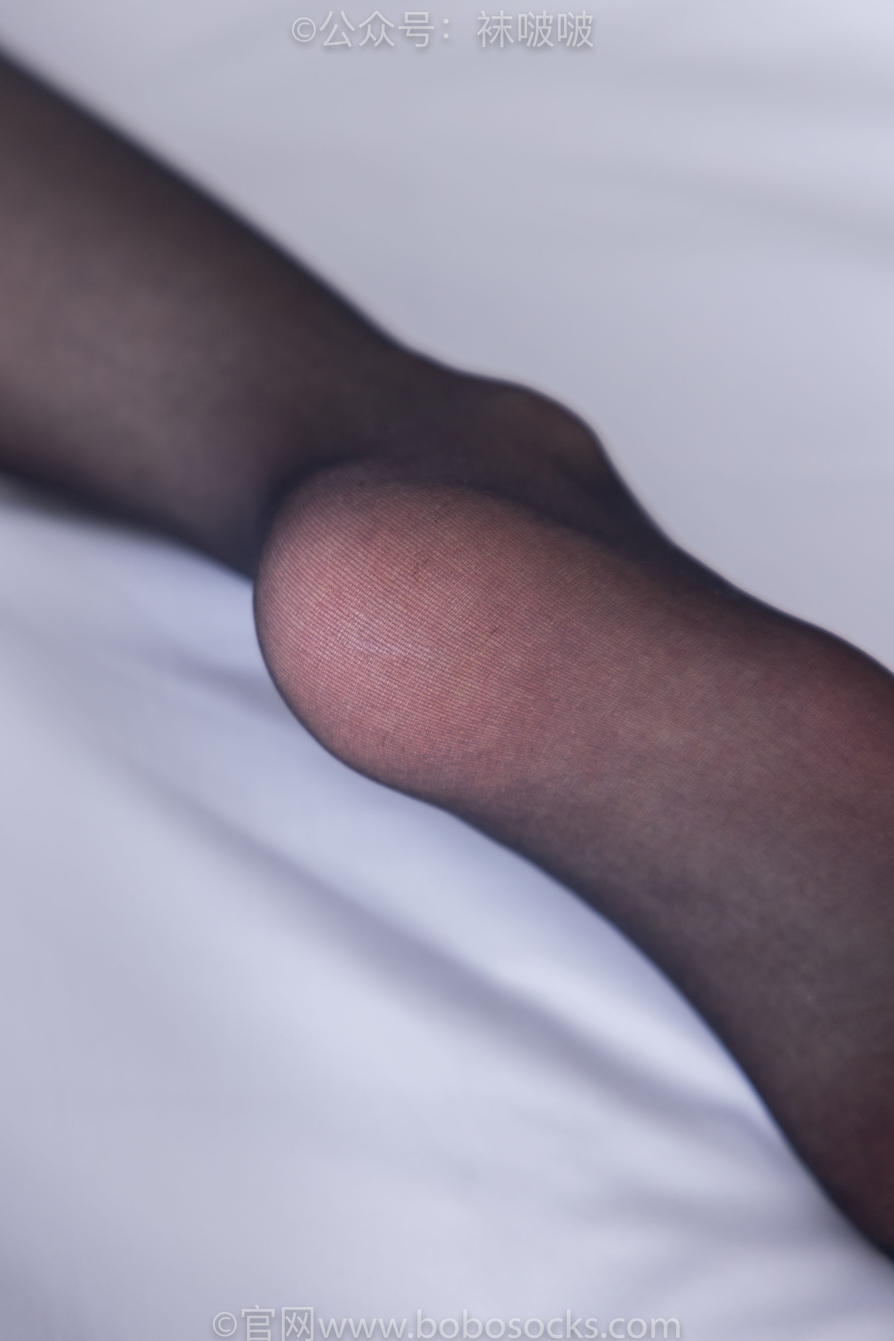 BoBoSocks袜啵啵 No.046 枫枫-短靴、黑丝