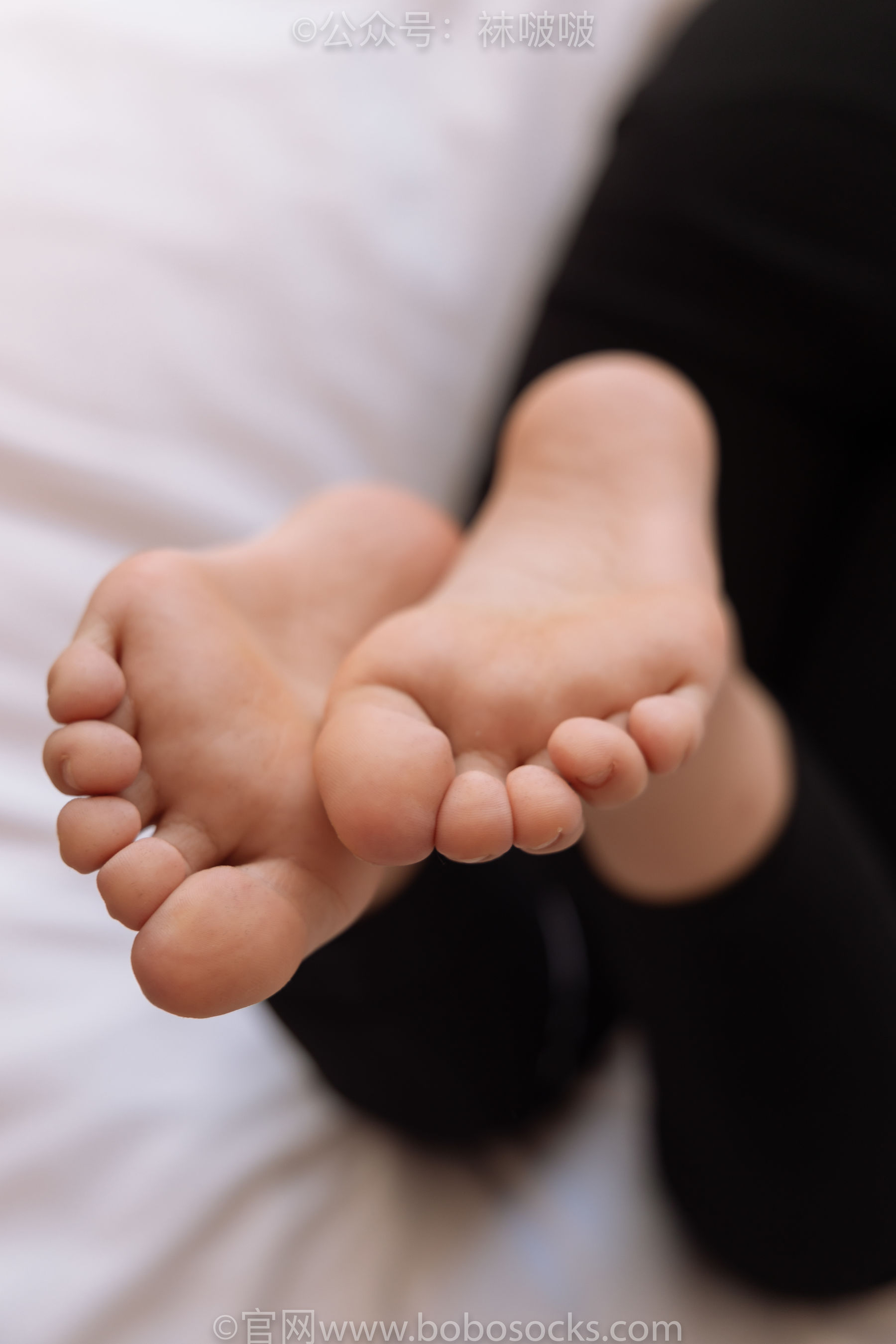 BoBoSocks袜啵啵 No.059 砂糖-AJ板鞋、白棉袜、裸足