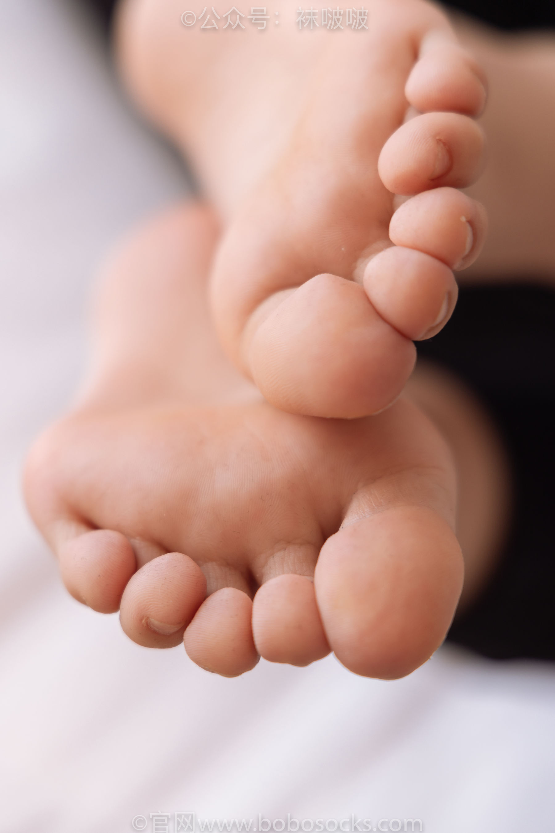 BoBoSocks袜啵啵 No.059 砂糖-AJ板鞋、白棉袜、裸足