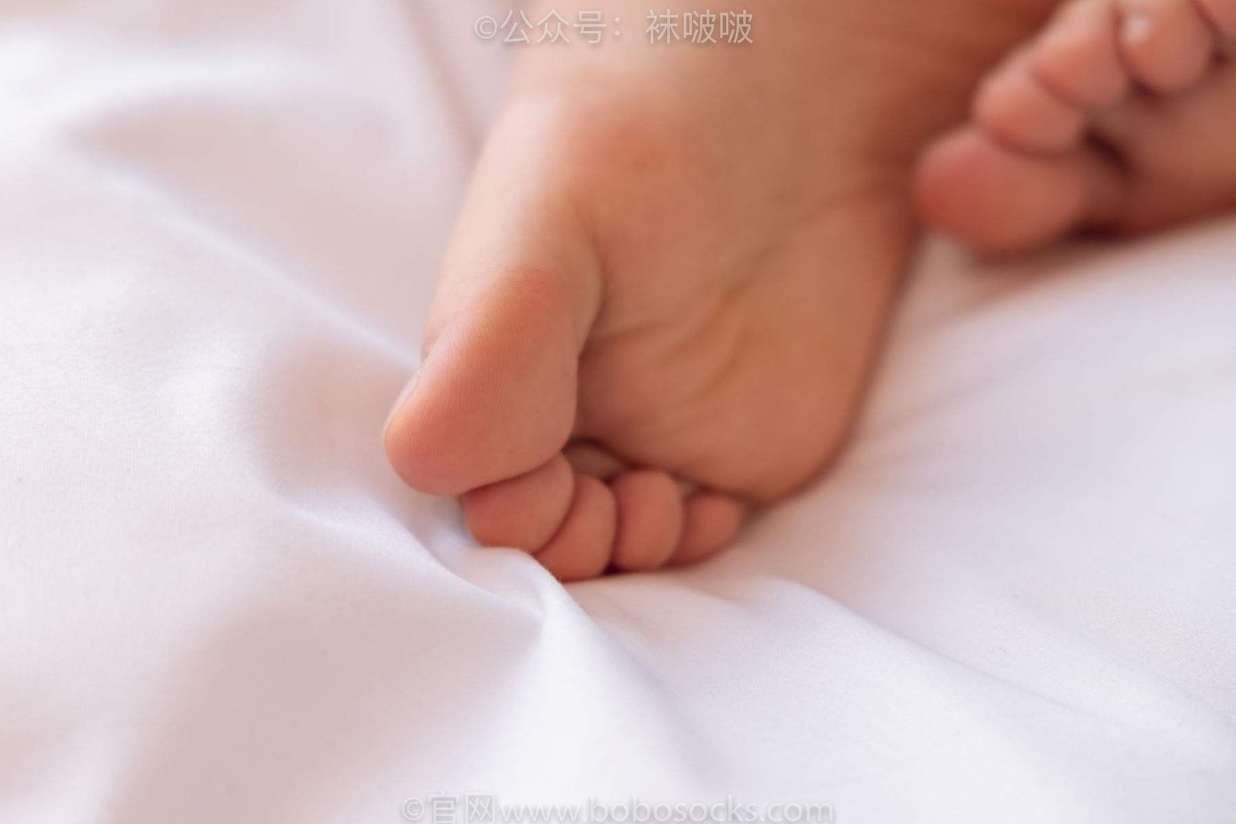 BoBoSocks袜啵啵 No.059 砂糖-AJ板鞋、白棉袜、裸足