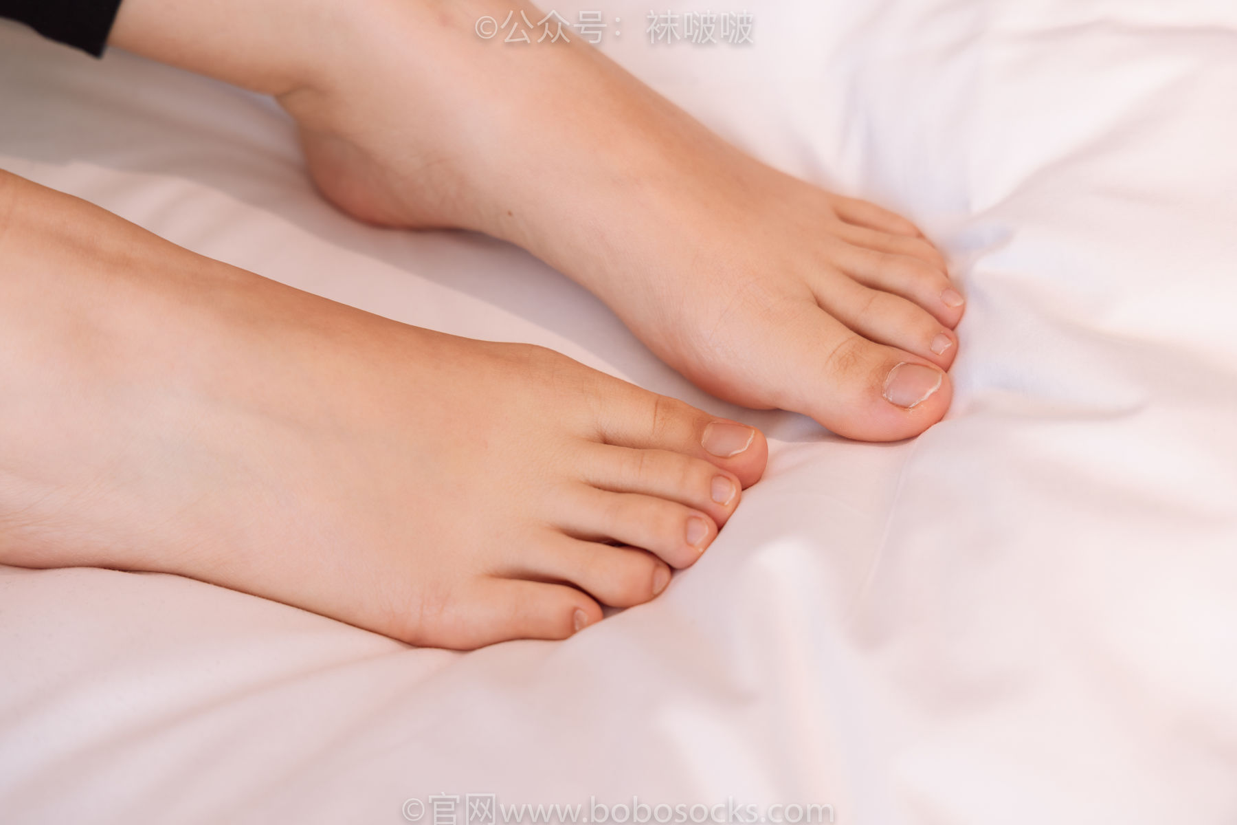 BoBoSocks袜啵啵 No.059 砂糖-AJ板鞋、白棉袜、裸足