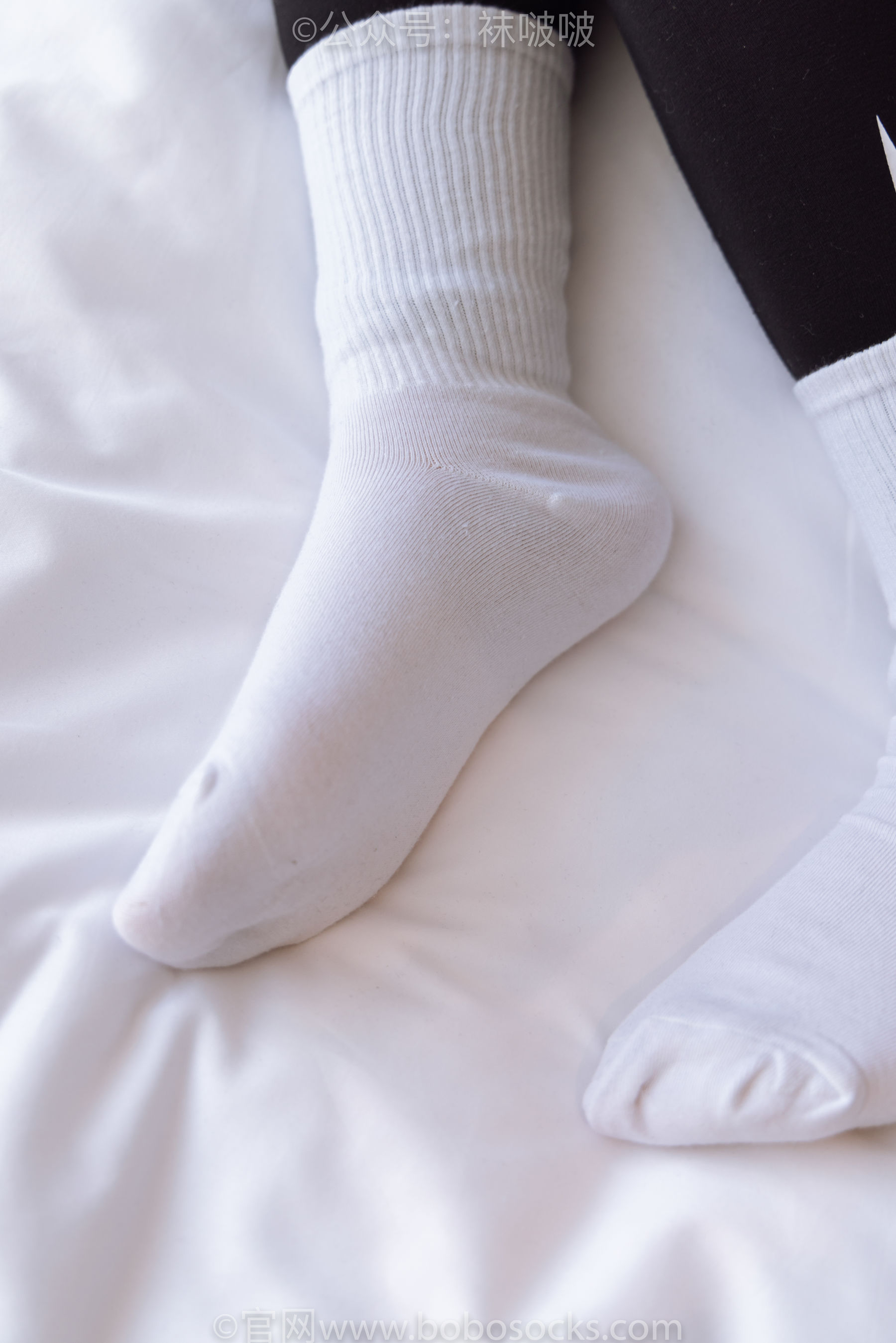 BoBoSocks袜啵啵 No.059 砂糖-AJ板鞋、白棉袜、裸足