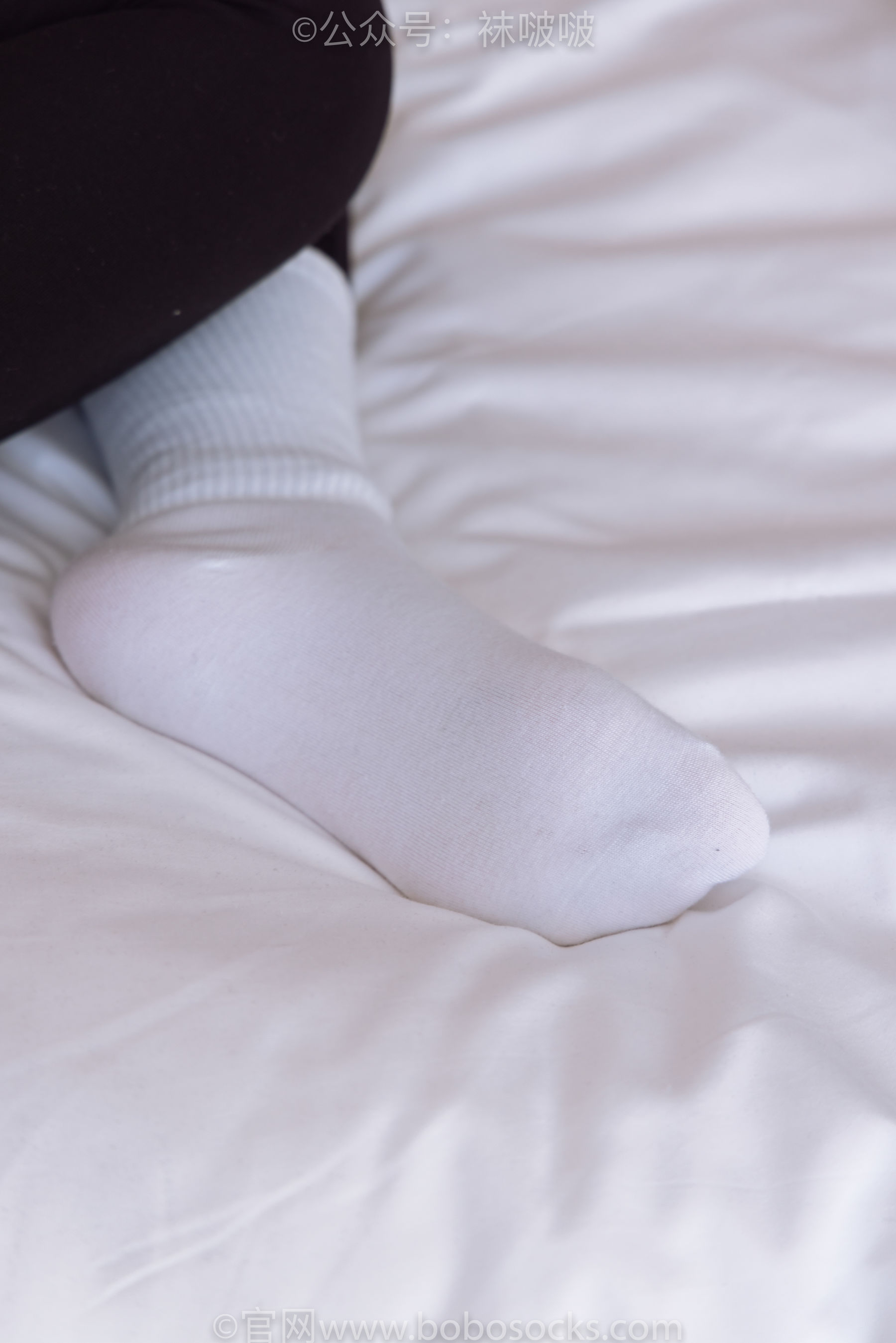 BoBoSocks袜啵啵 No.059 砂糖-AJ板鞋、白棉袜、裸足