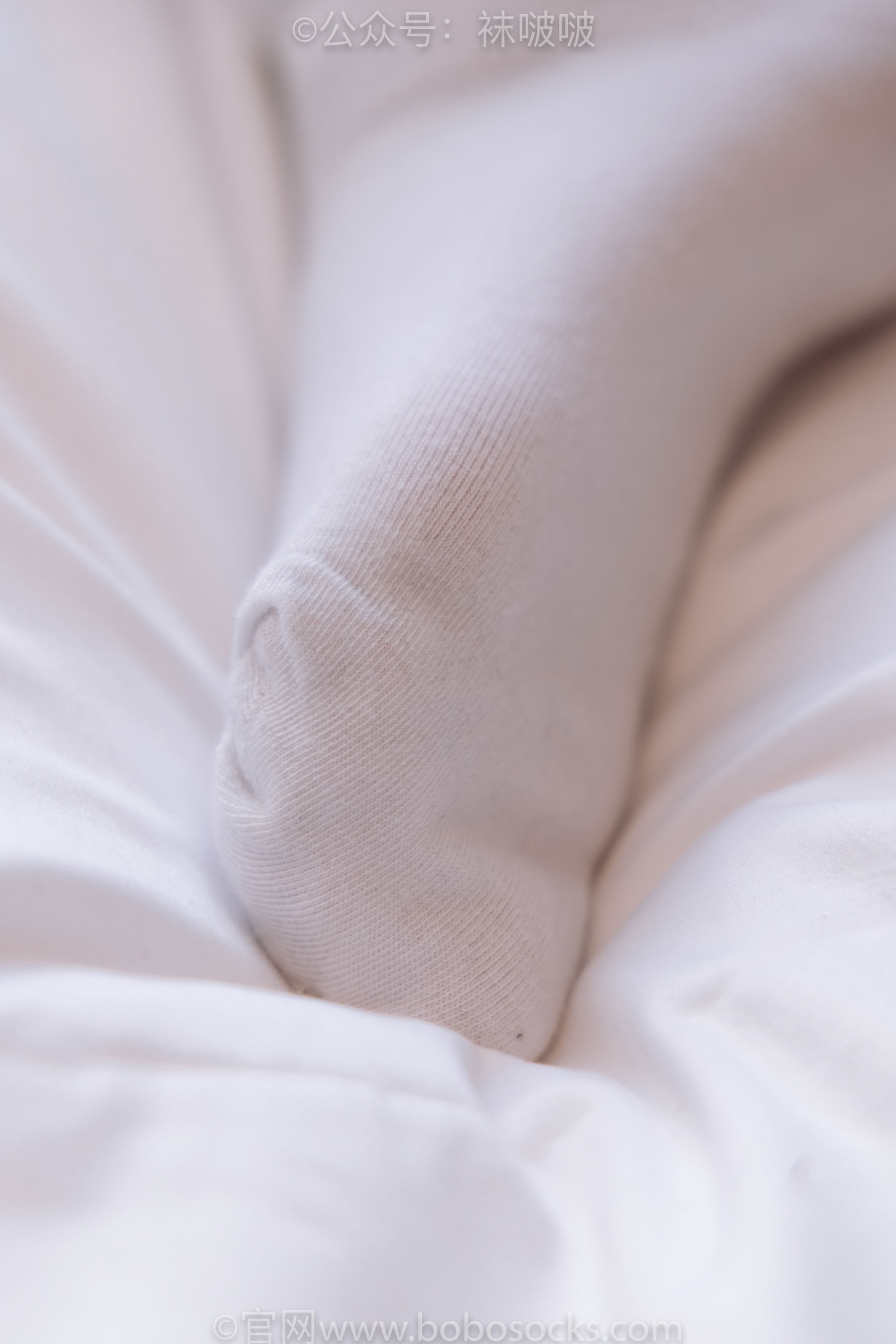 BoBoSocks袜啵啵 No.059 砂糖-AJ板鞋、白棉袜、裸足