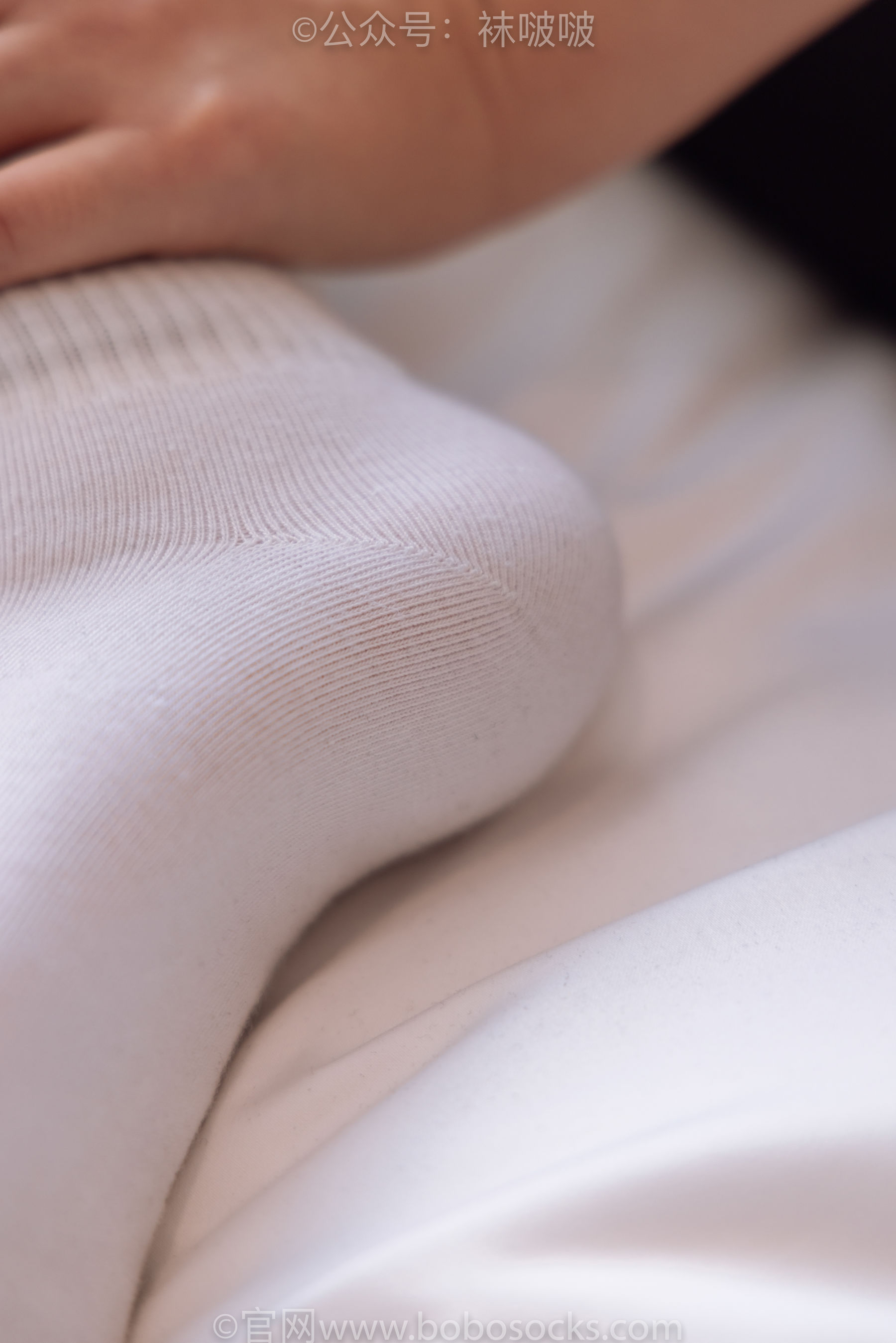 BoBoSocks袜啵啵 No.059 砂糖-AJ板鞋、白棉袜、裸足