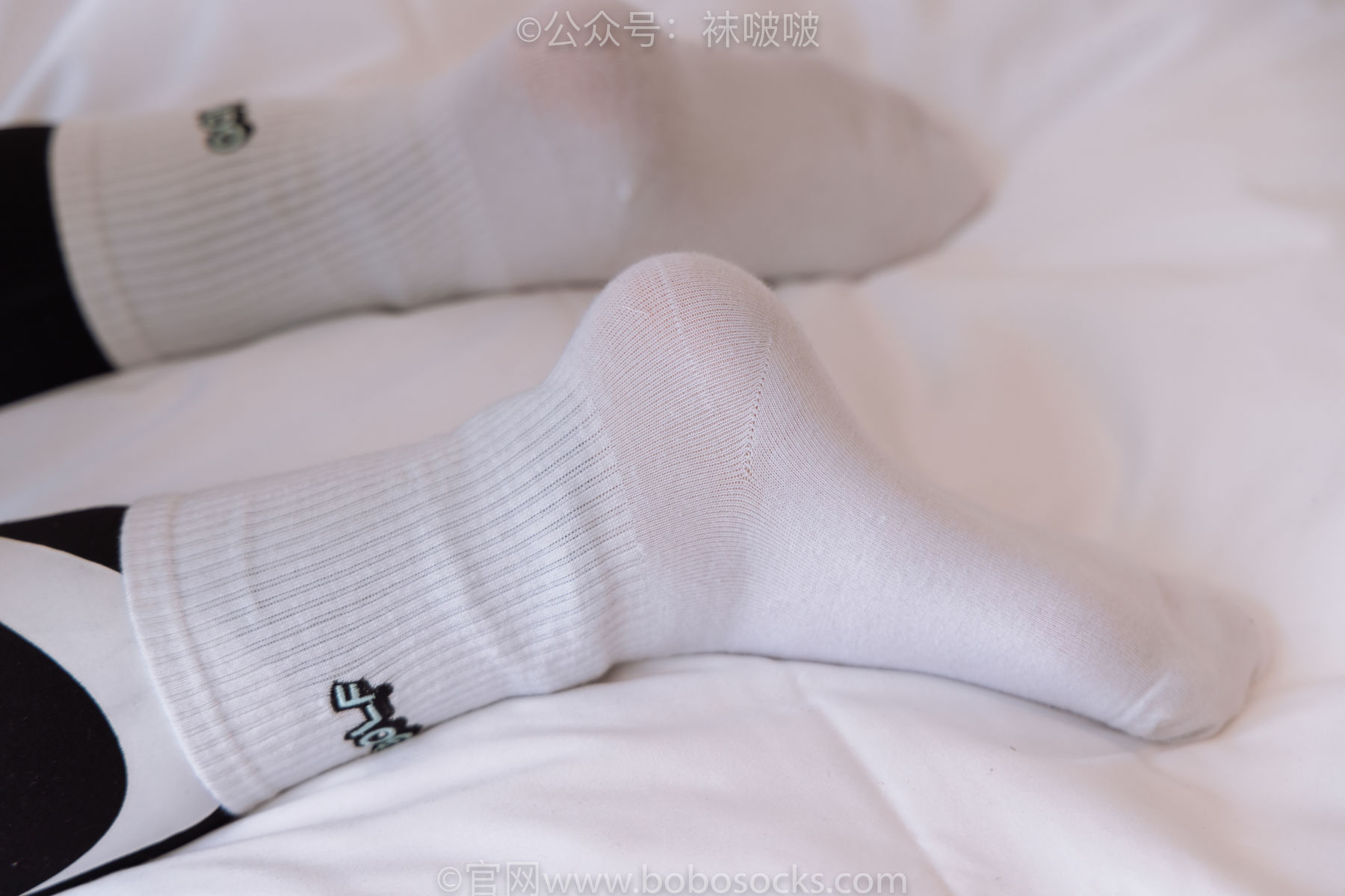 BoBoSocks袜啵啵 No.059 砂糖-AJ板鞋、白棉袜、裸足