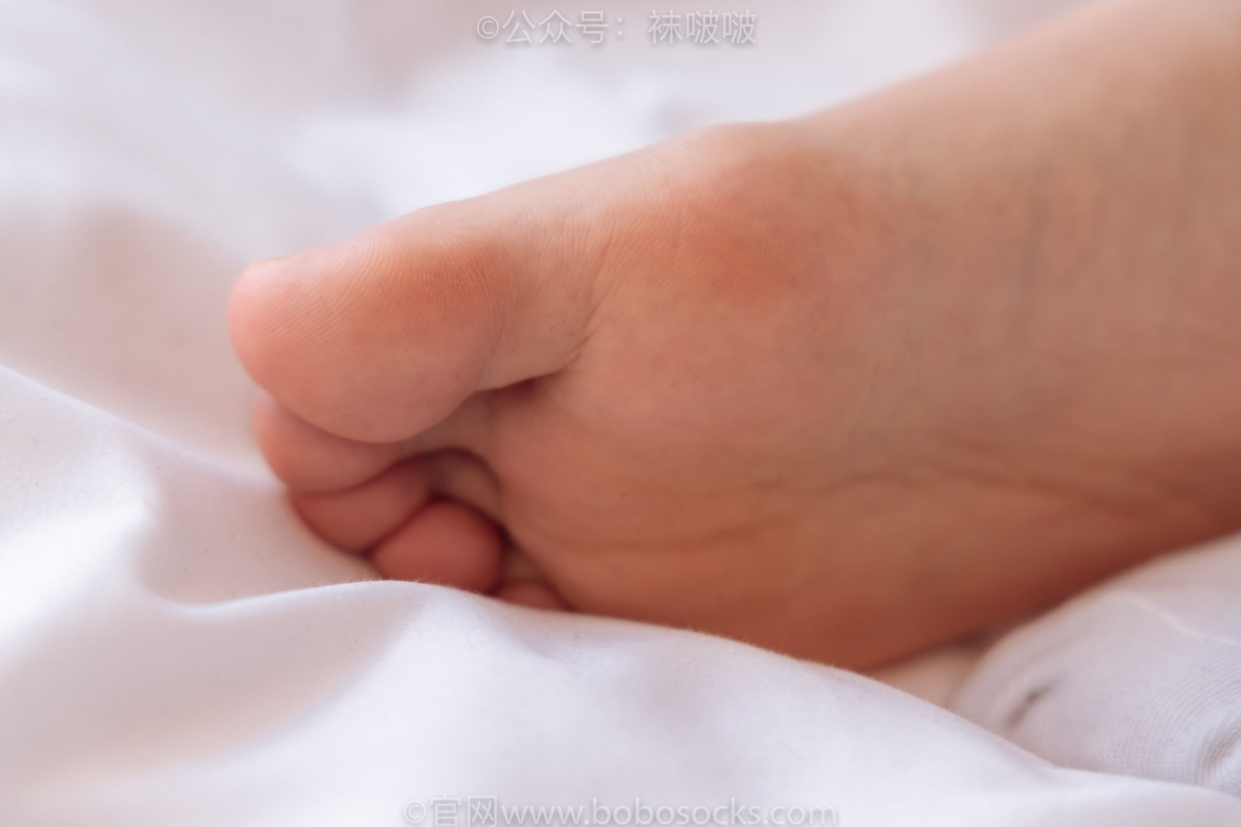 BoBoSocks袜啵啵 No.059 砂糖-AJ板鞋、白棉袜、裸足
