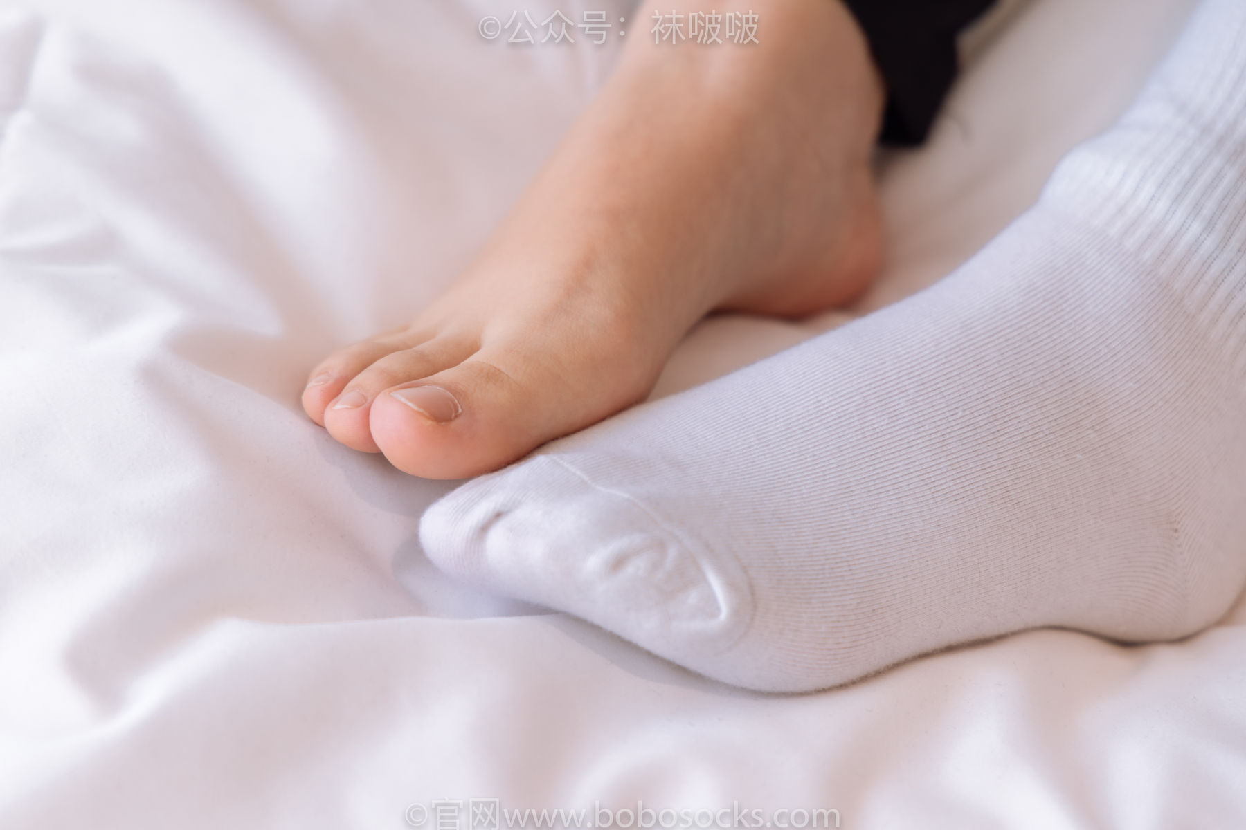 BoBoSocks袜啵啵 No.059 砂糖-AJ板鞋、白棉袜、裸足