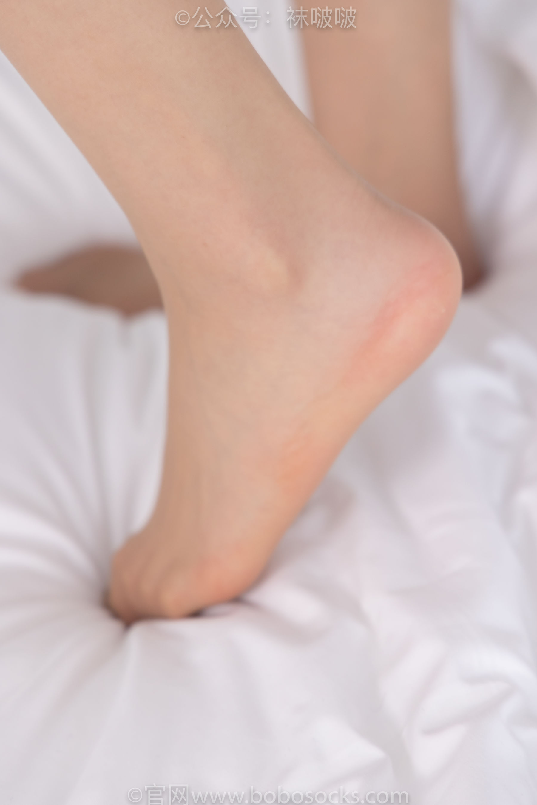 BoBoSocks袜啵啵 No.078 小甜豆-招行制服、平底鞋、灰丝