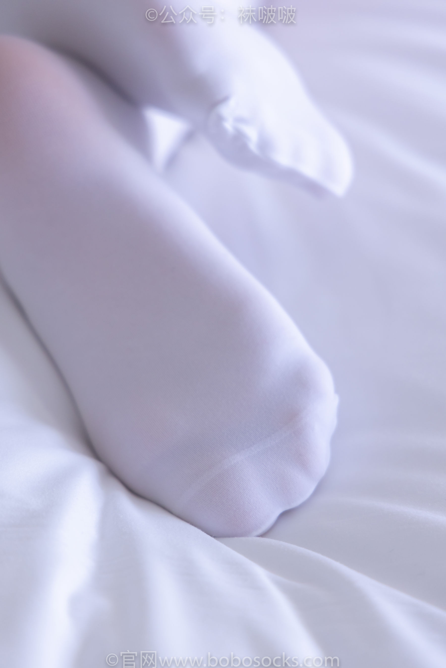 BoBoSocks袜啵啵 No.079 砂糖-皮鞋、厚白丝