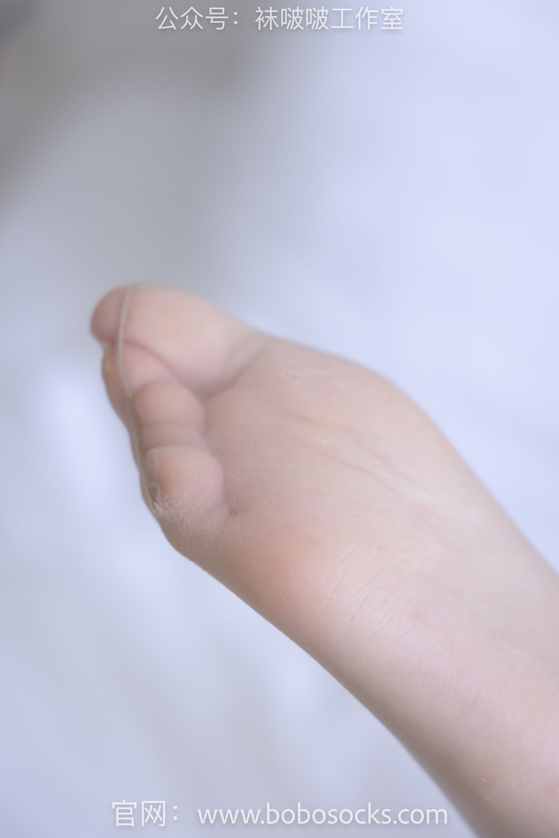 BoBoSocks袜啵啵 No.111 小甜豆-高跟鞋、油亮肉丝