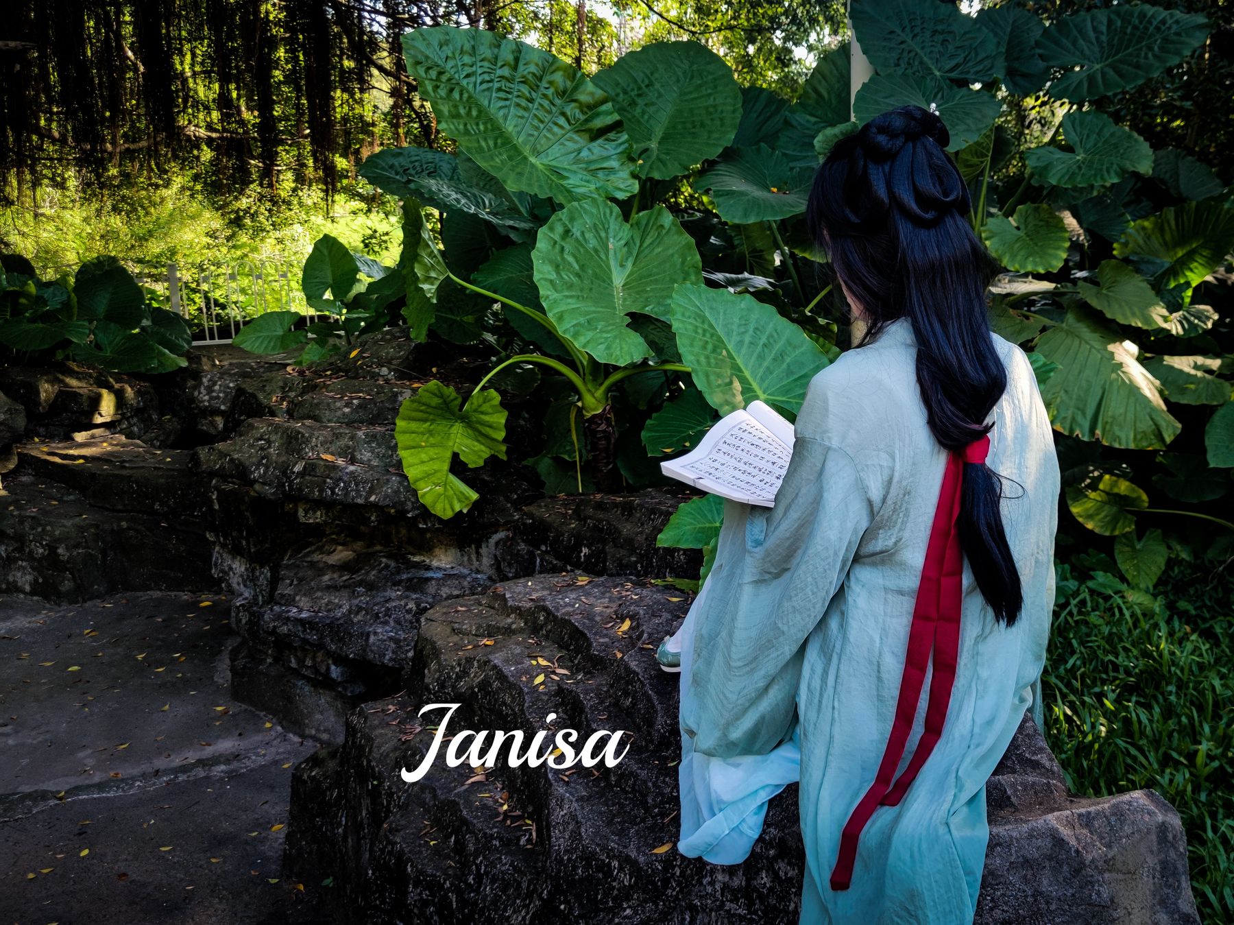 Janisa - 一曲广陵散