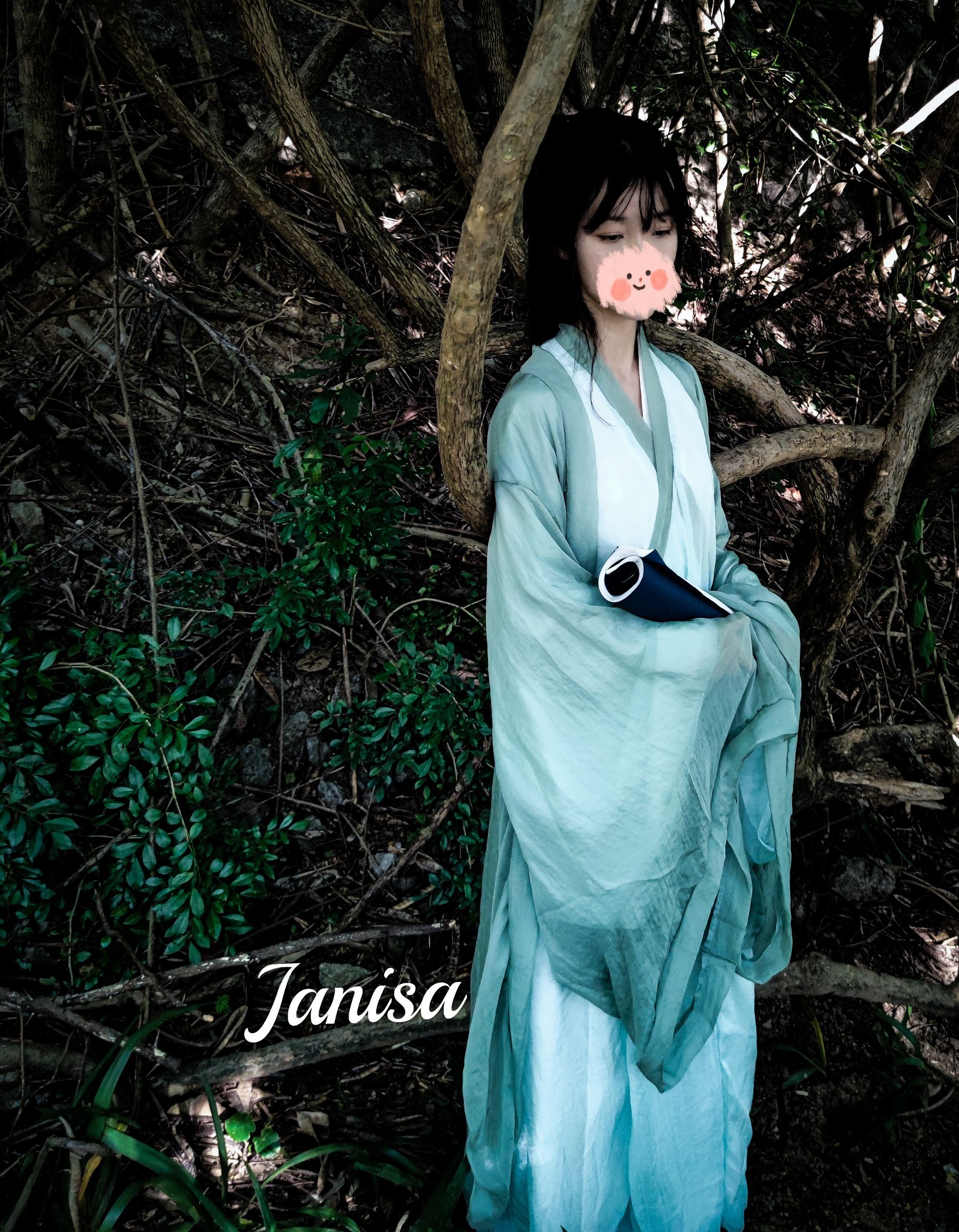 Janisa - 一曲广陵散