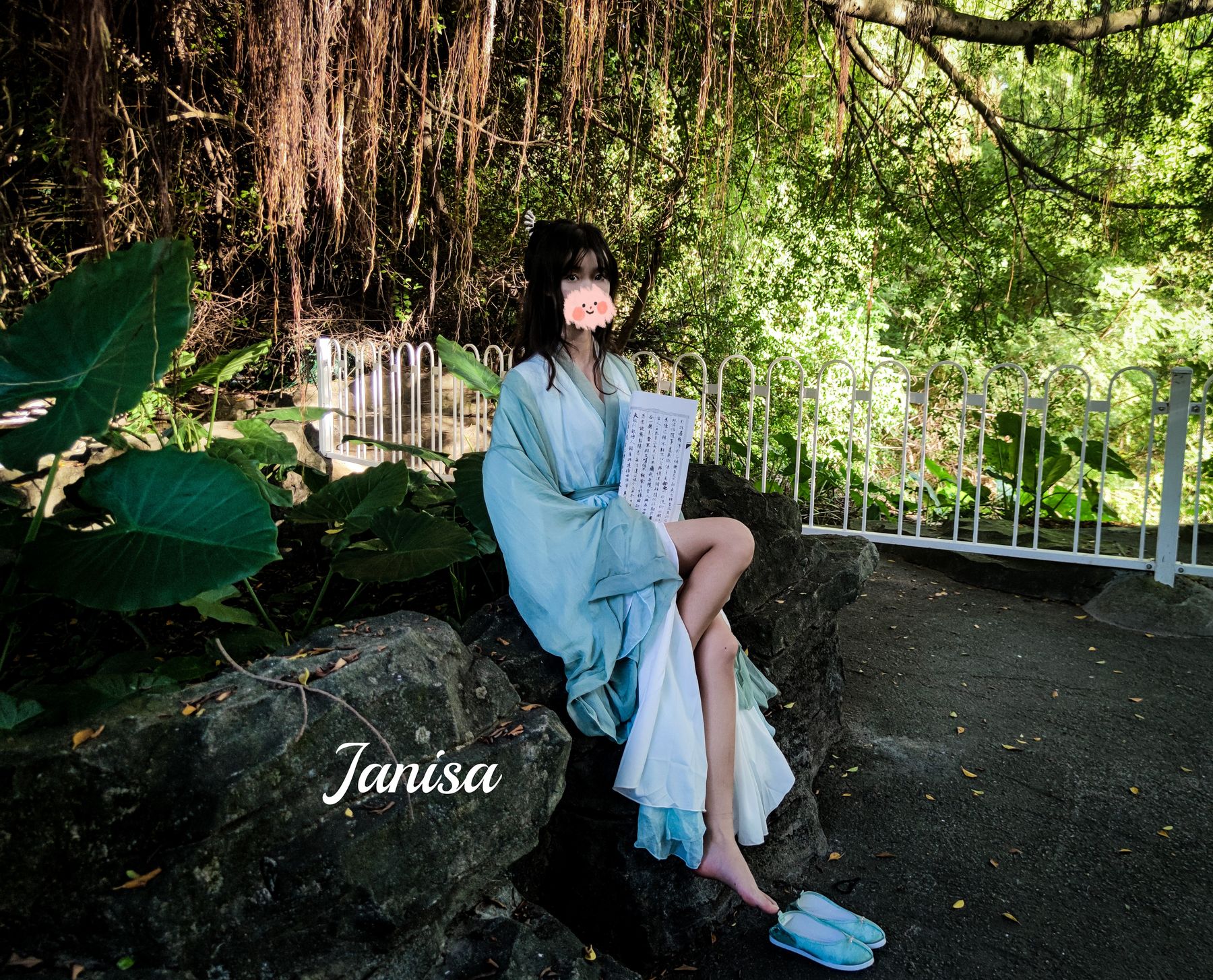 Janisa - 一曲广陵散