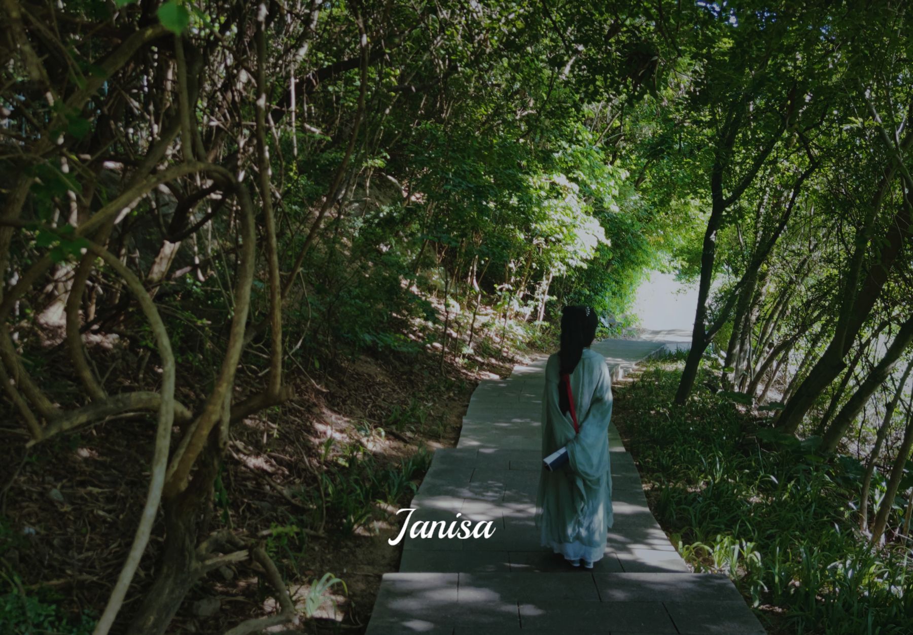 Janisa - 一曲广陵散