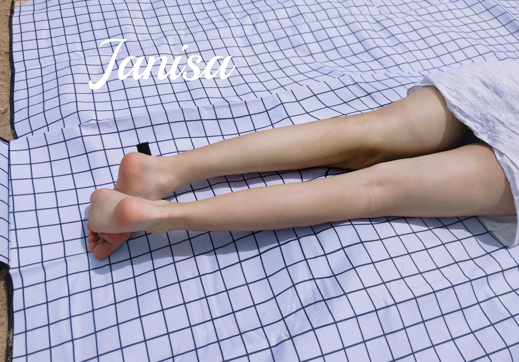 Janisa - 一树梨花压海棠