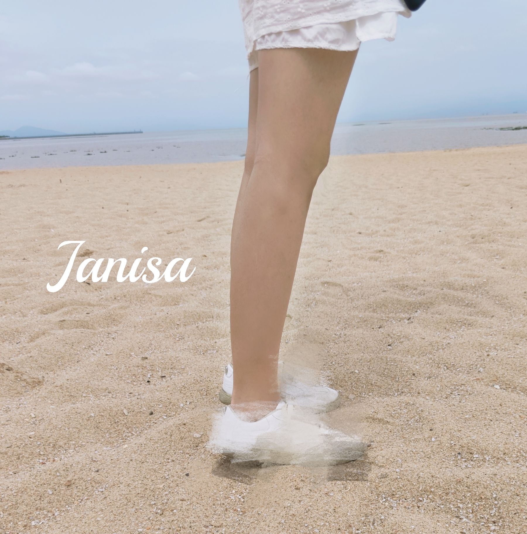 Janisa - 一树梨花压海棠