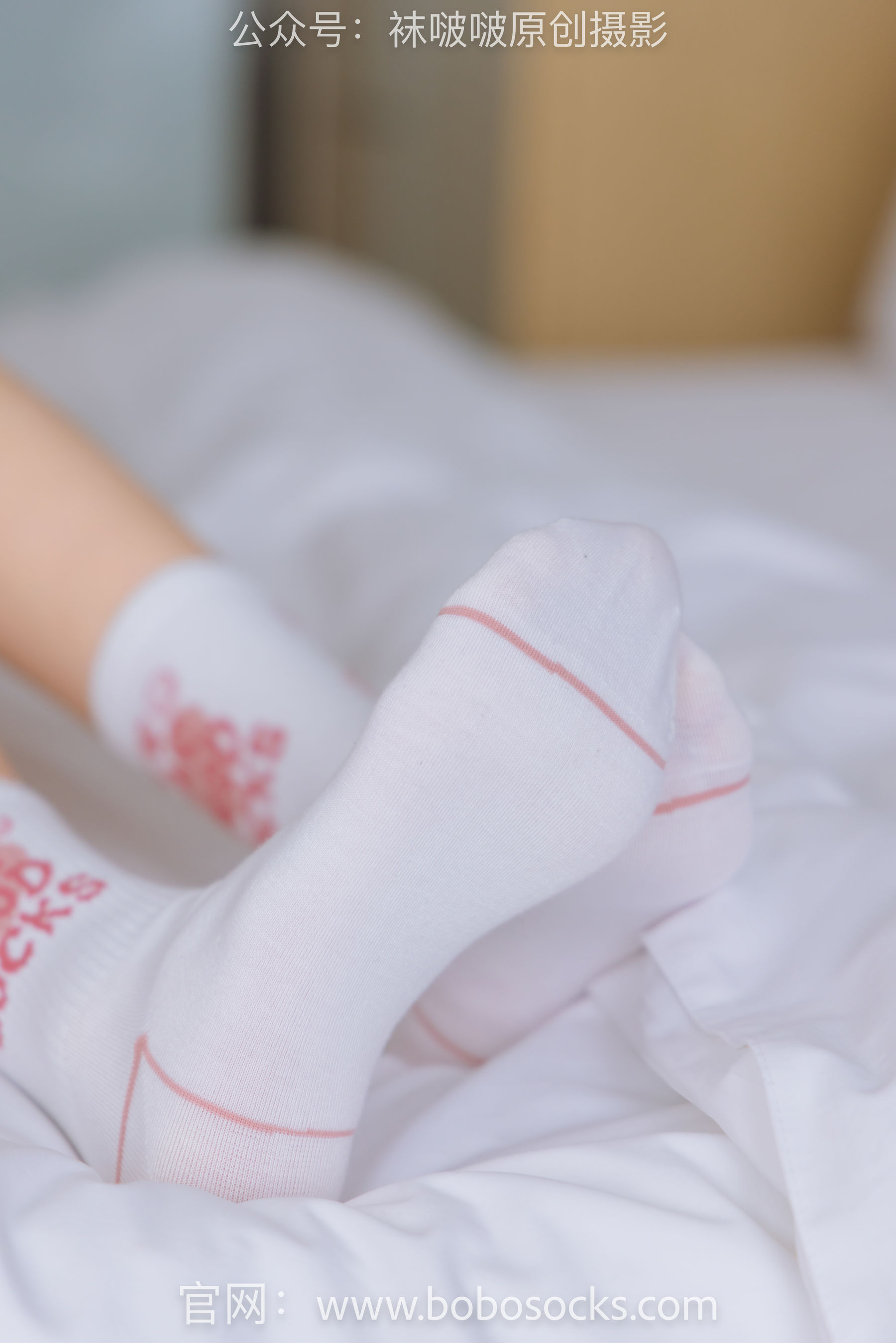 BoBoSocks袜啵啵 No.143 稚予-匡威板鞋、vans帆布鞋、两双白棉袜