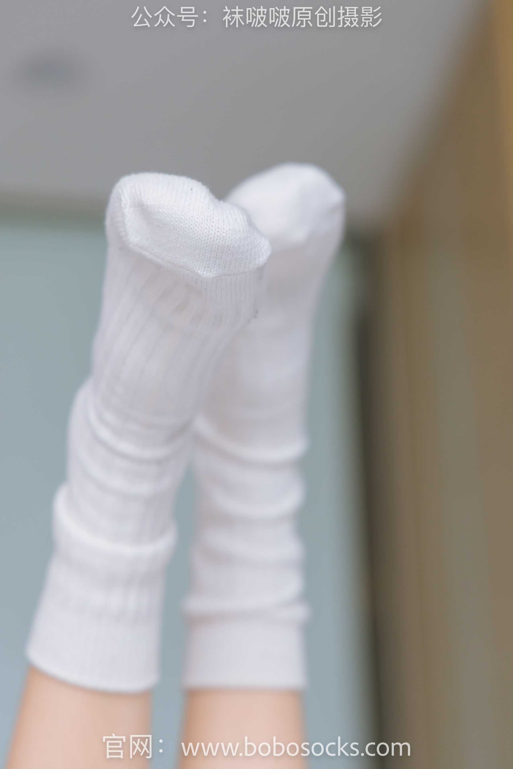 BoBoSocks袜啵啵 No.143 稚予-匡威板鞋、vans帆布鞋、两双白棉袜