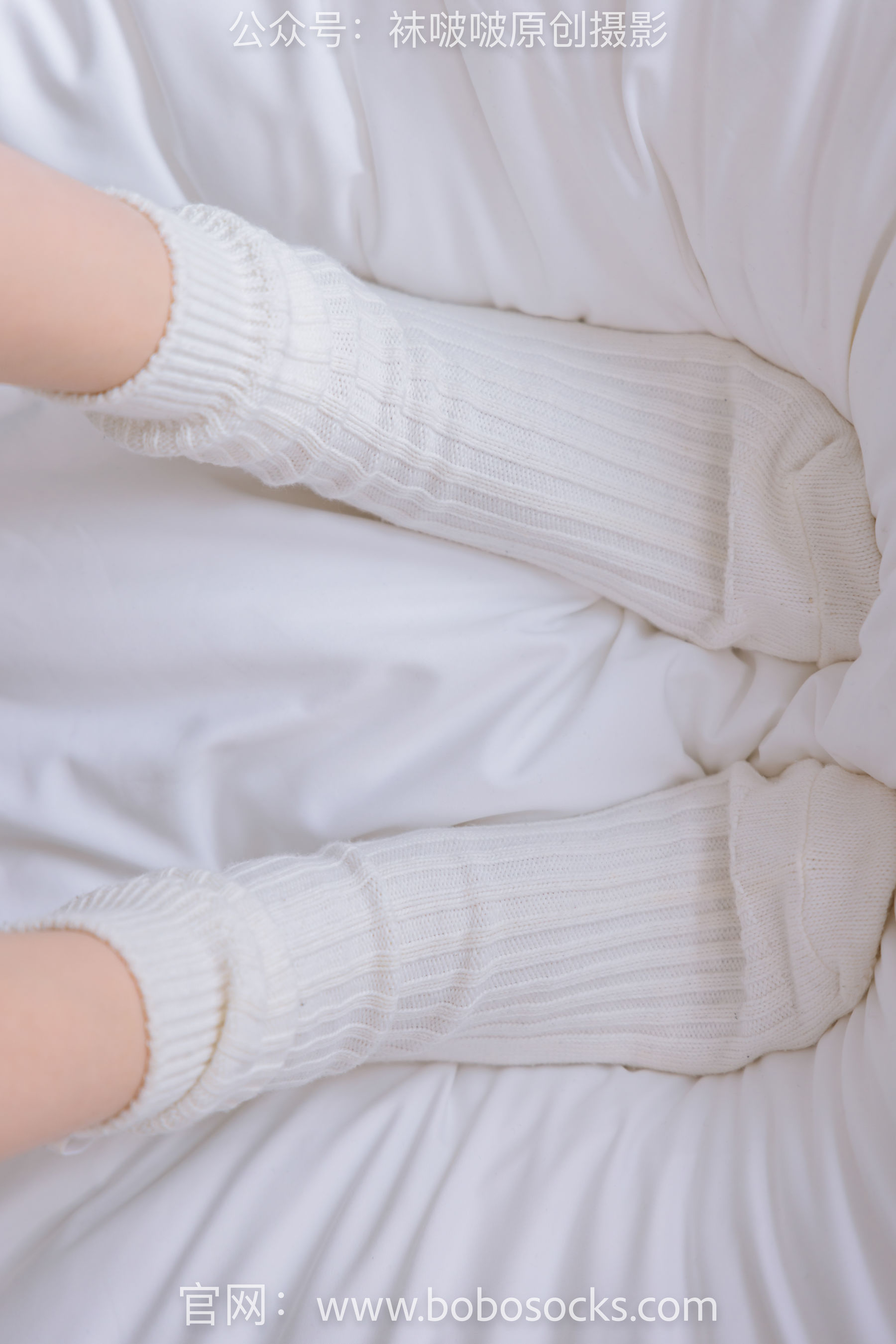 BoBoSocks袜啵啵 No.143 稚予-匡威板鞋、vans帆布鞋、两双白棉袜