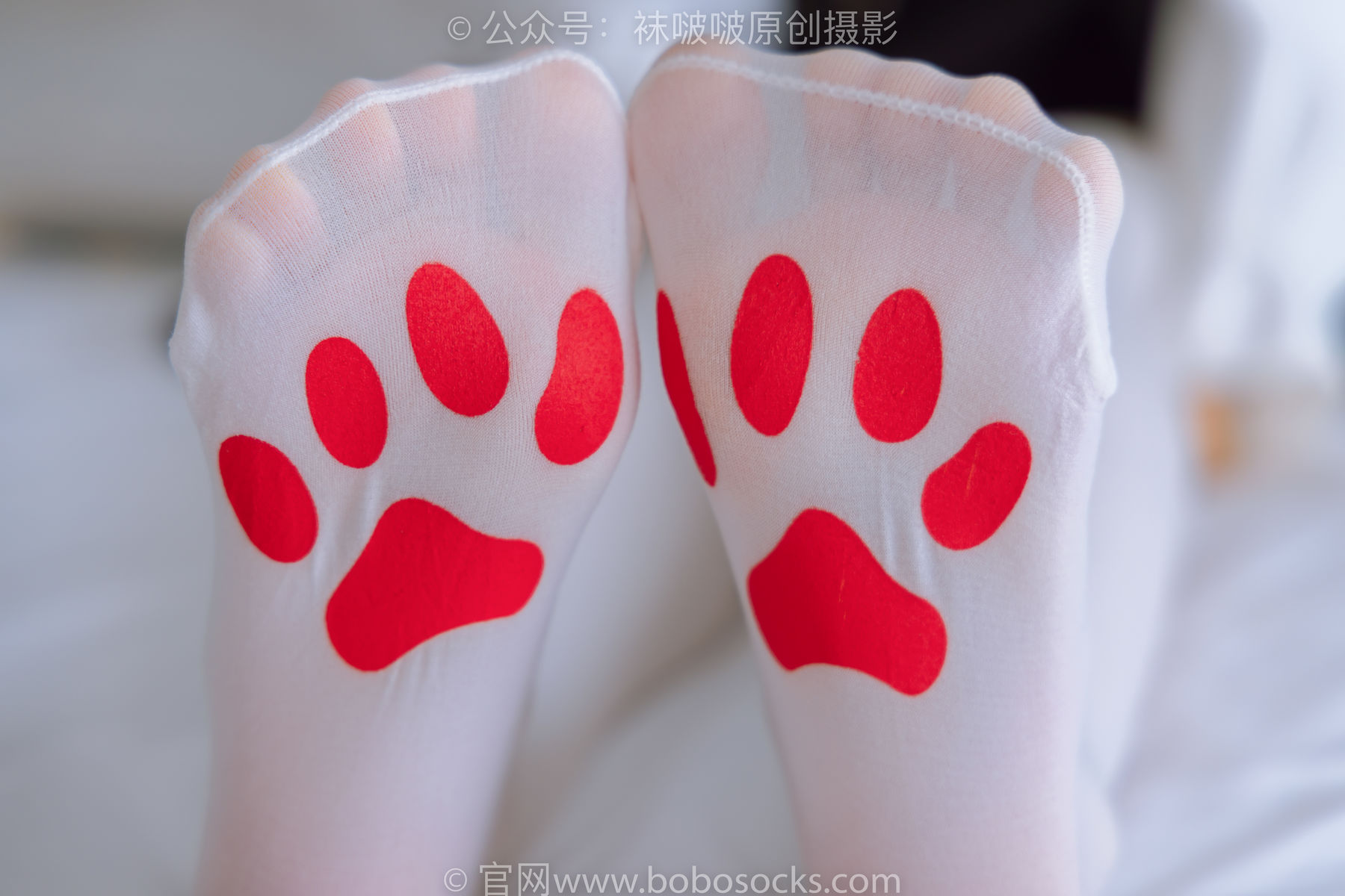 BoBoSocks袜啵啵 No.177 稚予-皮鞋、厚白丝（脚底猫爪印款）