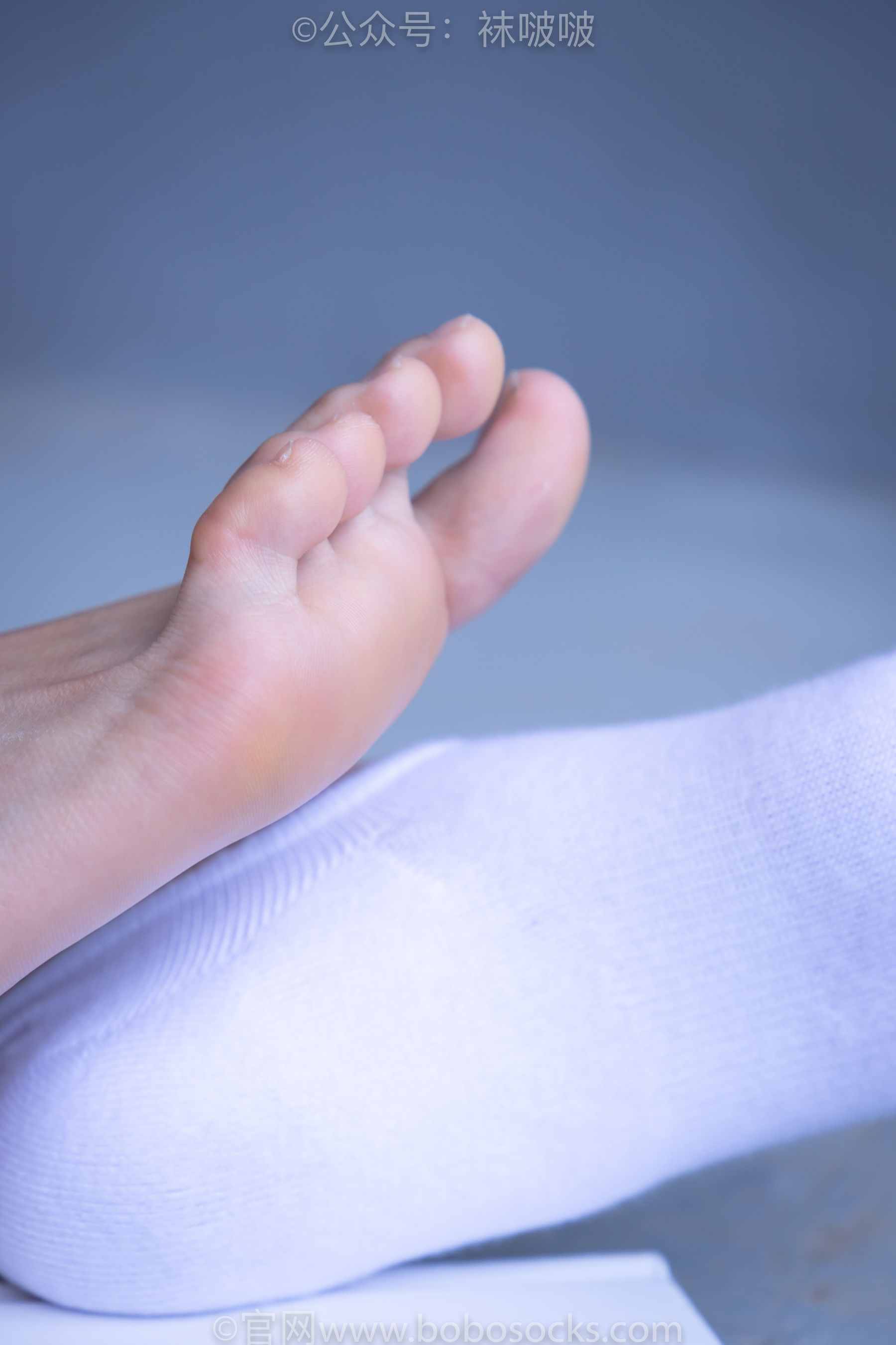 BoBoSocks袜啵啵 积分限定作品002 泡芙- AJ、白色棉质船袜、裸足