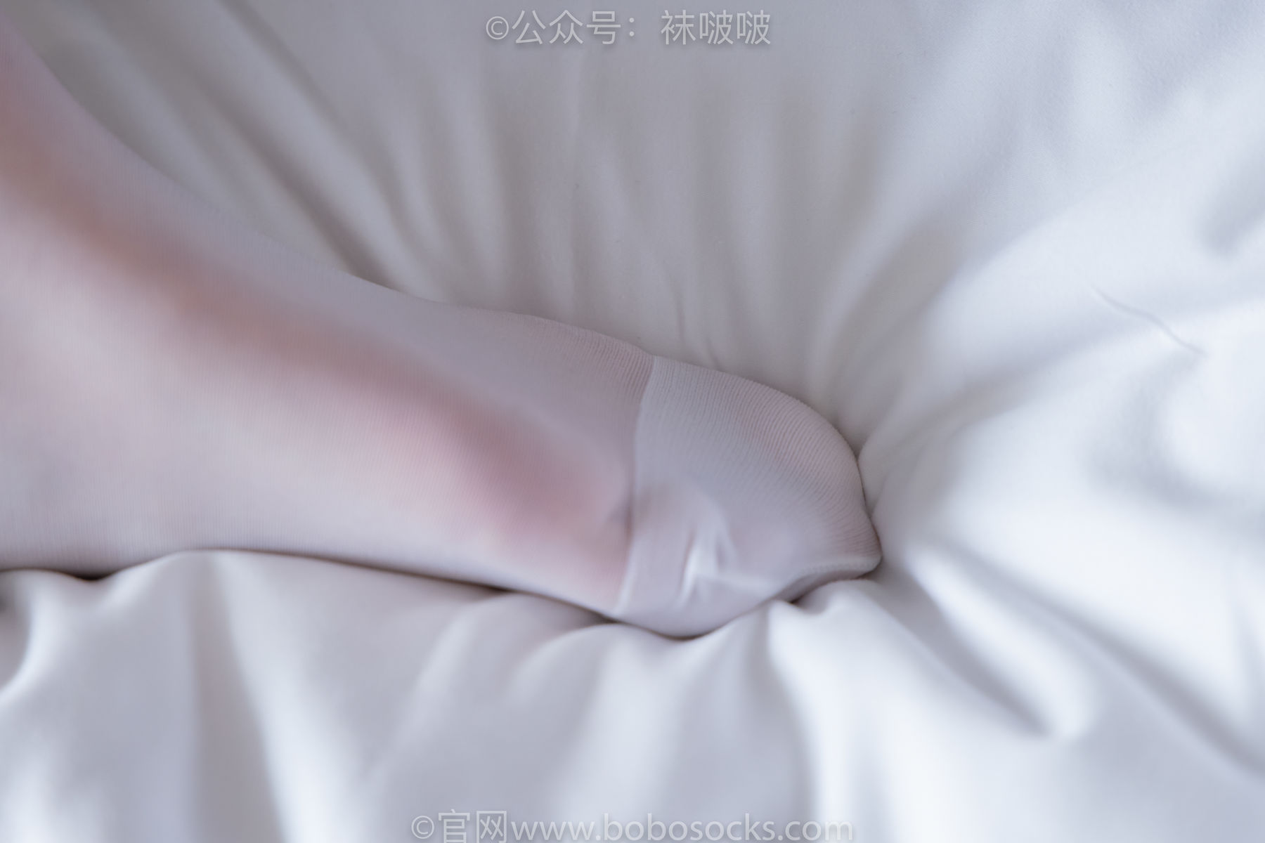 BoBoSocks袜啵啵 积分限定作品004 熊熊-板鞋、白棉袜、白丝