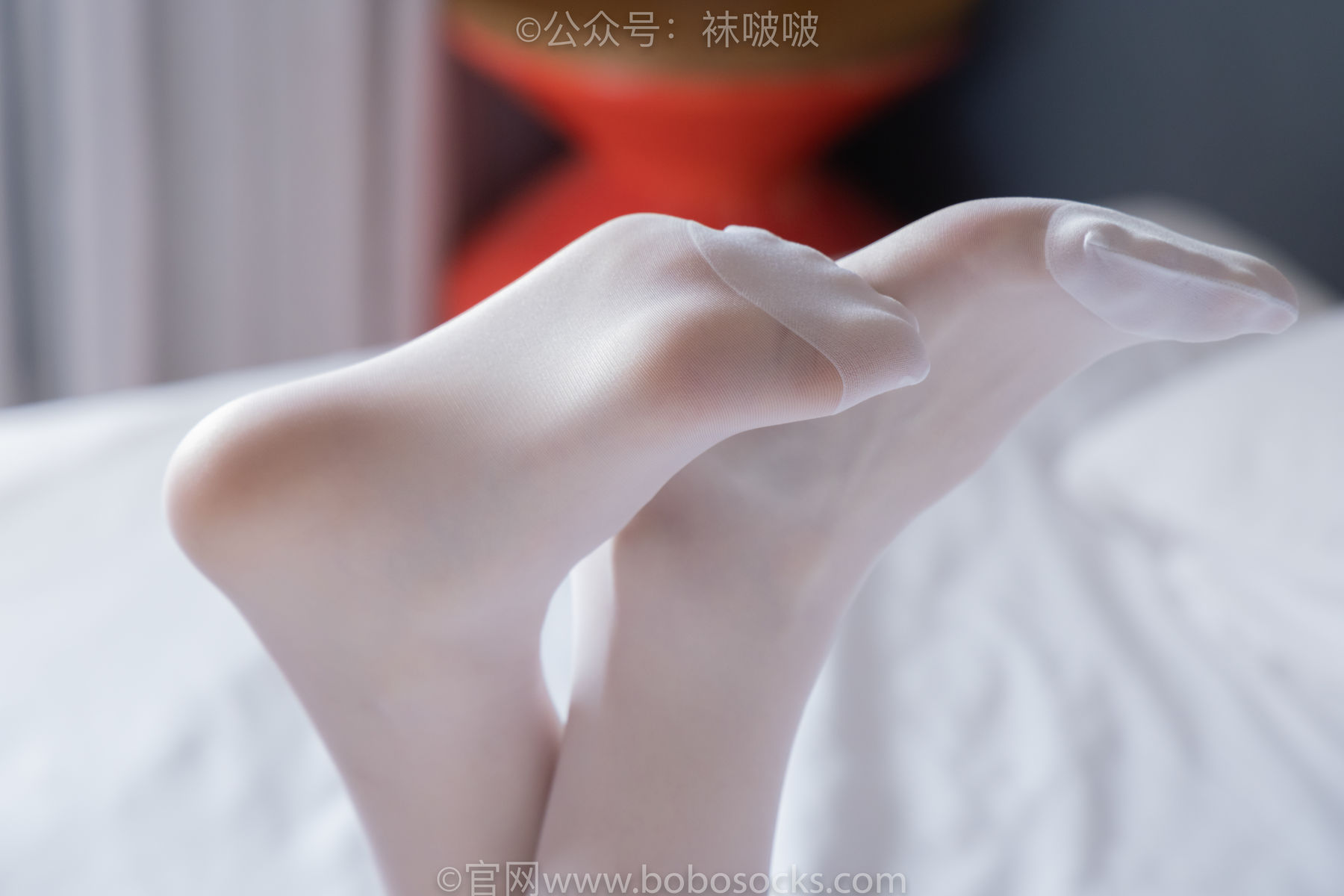 BoBoSocks袜啵啵 积分限定作品004 熊熊-板鞋、白棉袜、白丝
