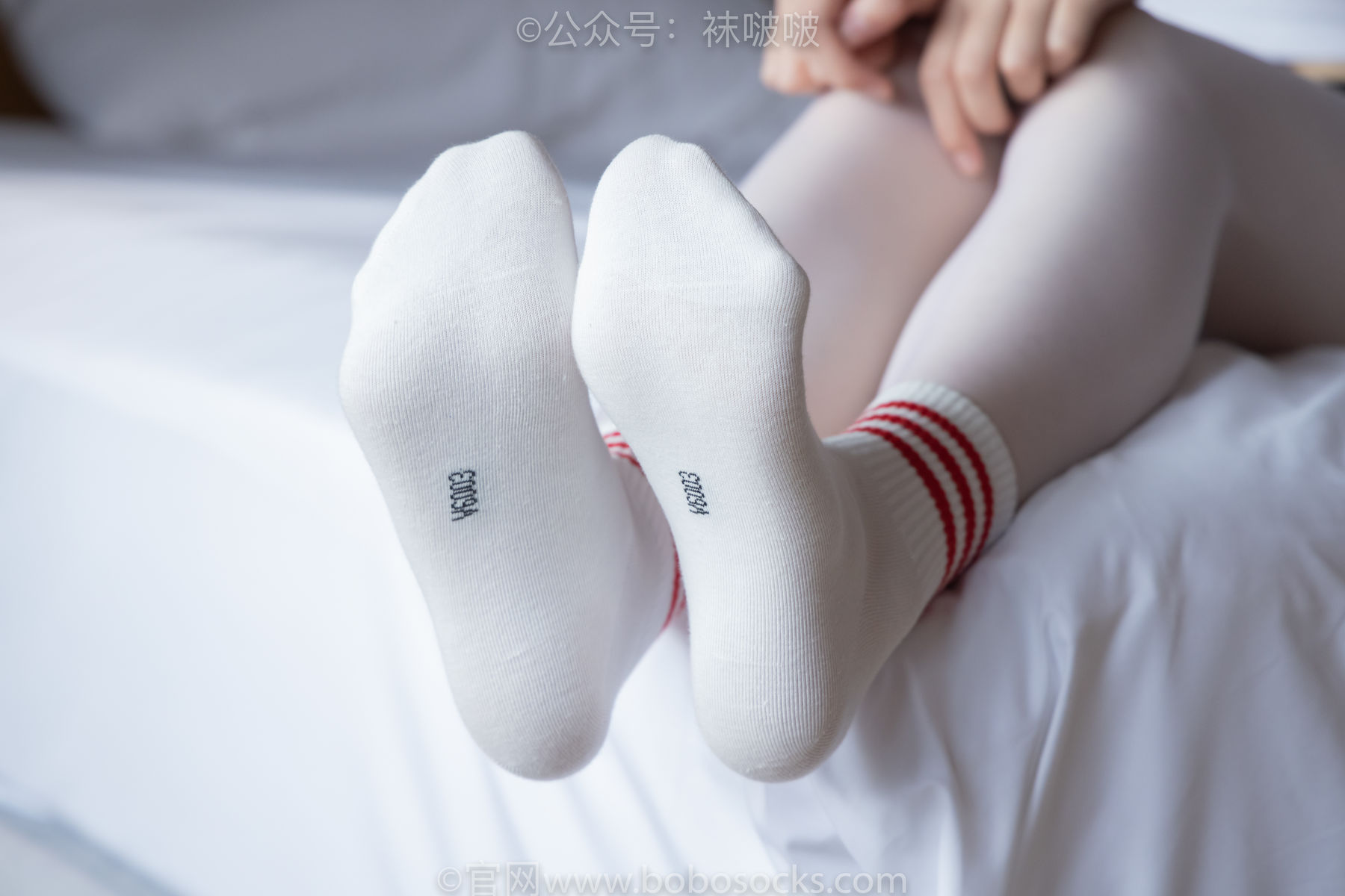 BoBoSocks袜啵啵 积分限定作品004 熊熊-板鞋、白棉袜、白丝