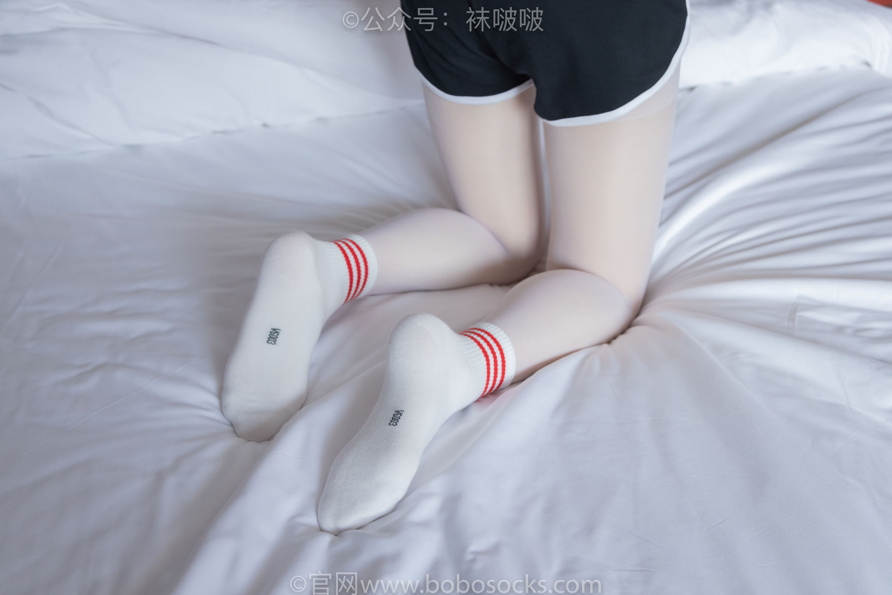 BoBoSocks袜啵啵 积分限定作品004 熊熊-板鞋、白棉袜、白丝