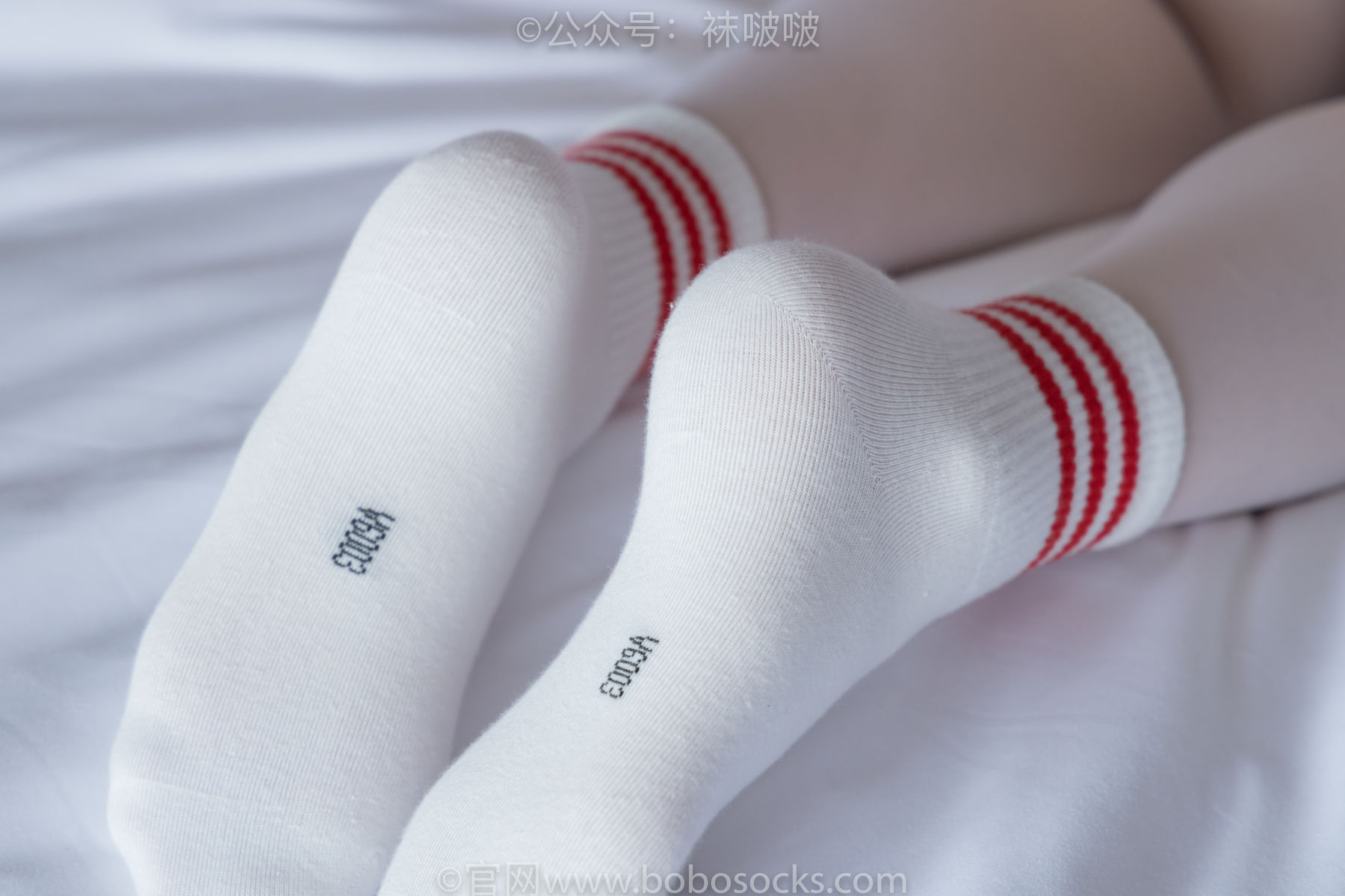 BoBoSocks袜啵啵 积分限定作品004 熊熊-板鞋、白棉袜、白丝