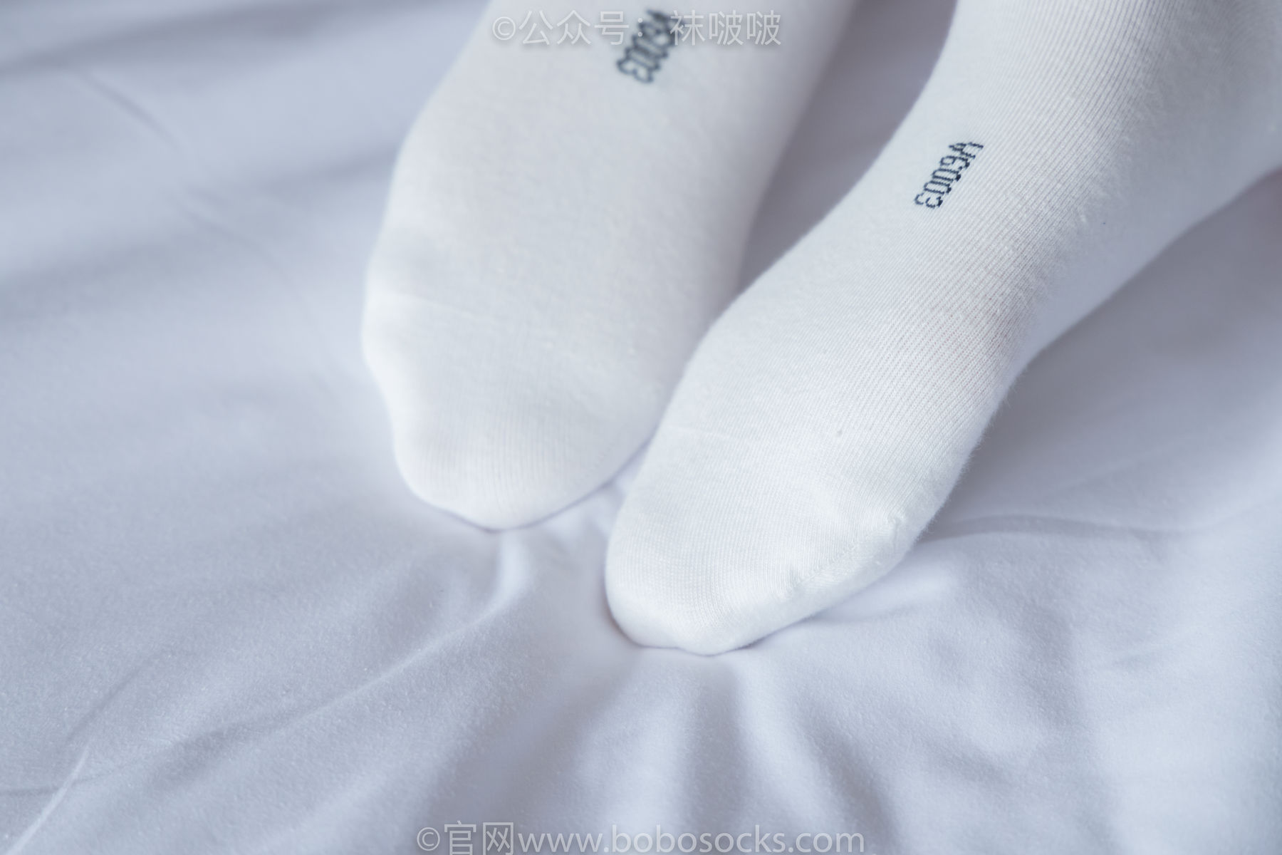 BoBoSocks袜啵啵 积分限定作品004 熊熊-板鞋、白棉袜、白丝