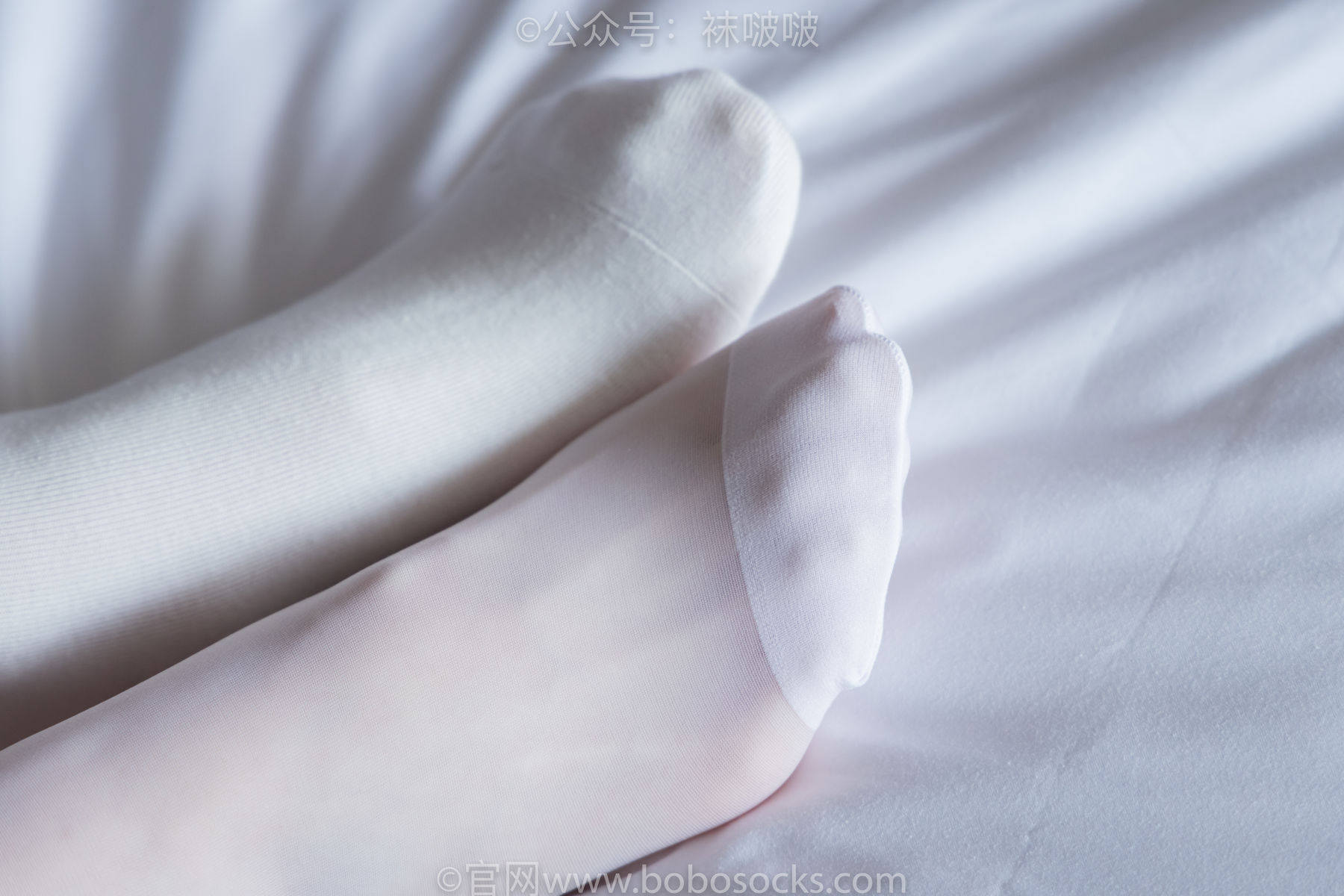 BoBoSocks袜啵啵 积分限定作品004 熊熊-板鞋、白棉袜、白丝