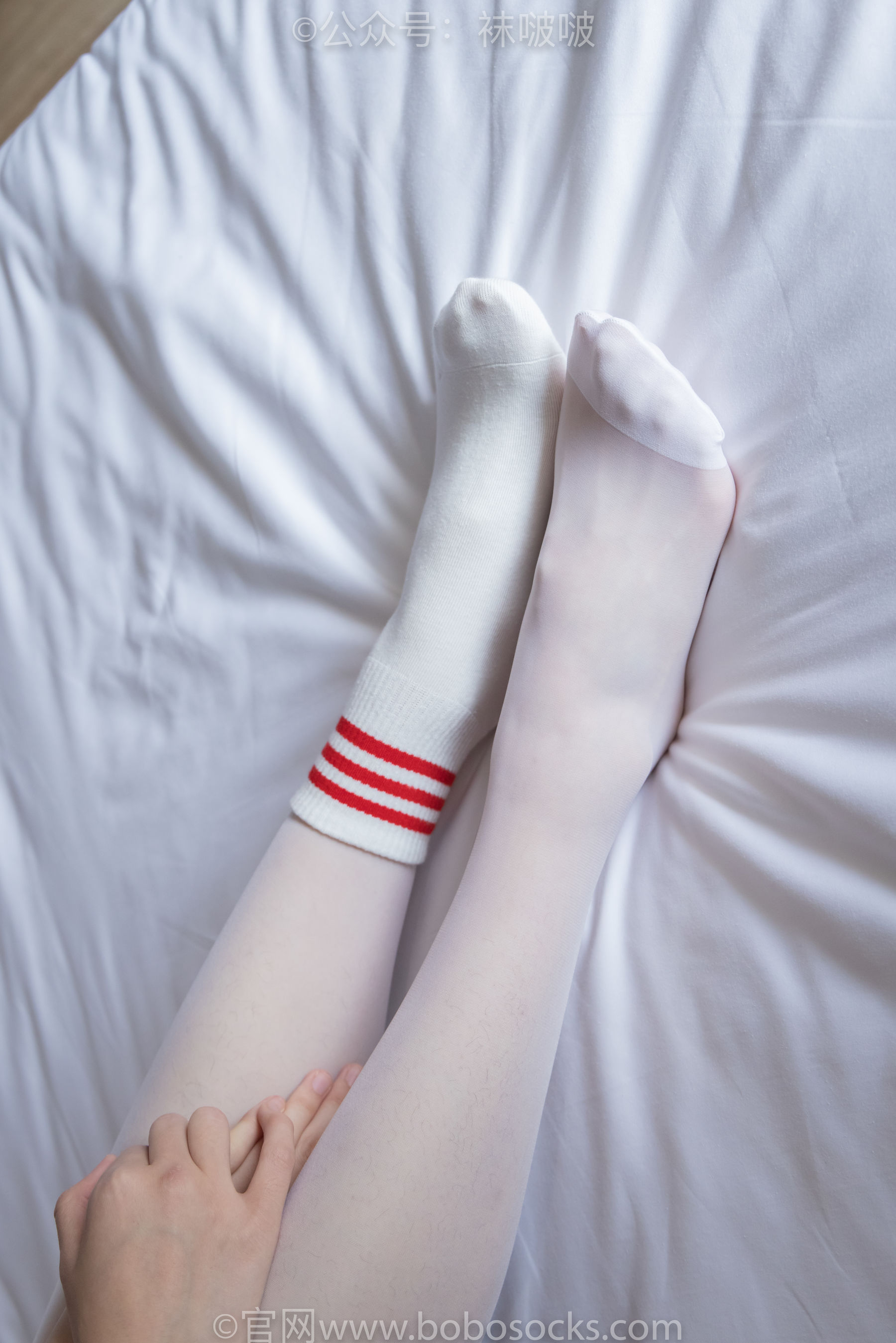BoBoSocks袜啵啵 积分限定作品004 熊熊-板鞋、白棉袜、白丝