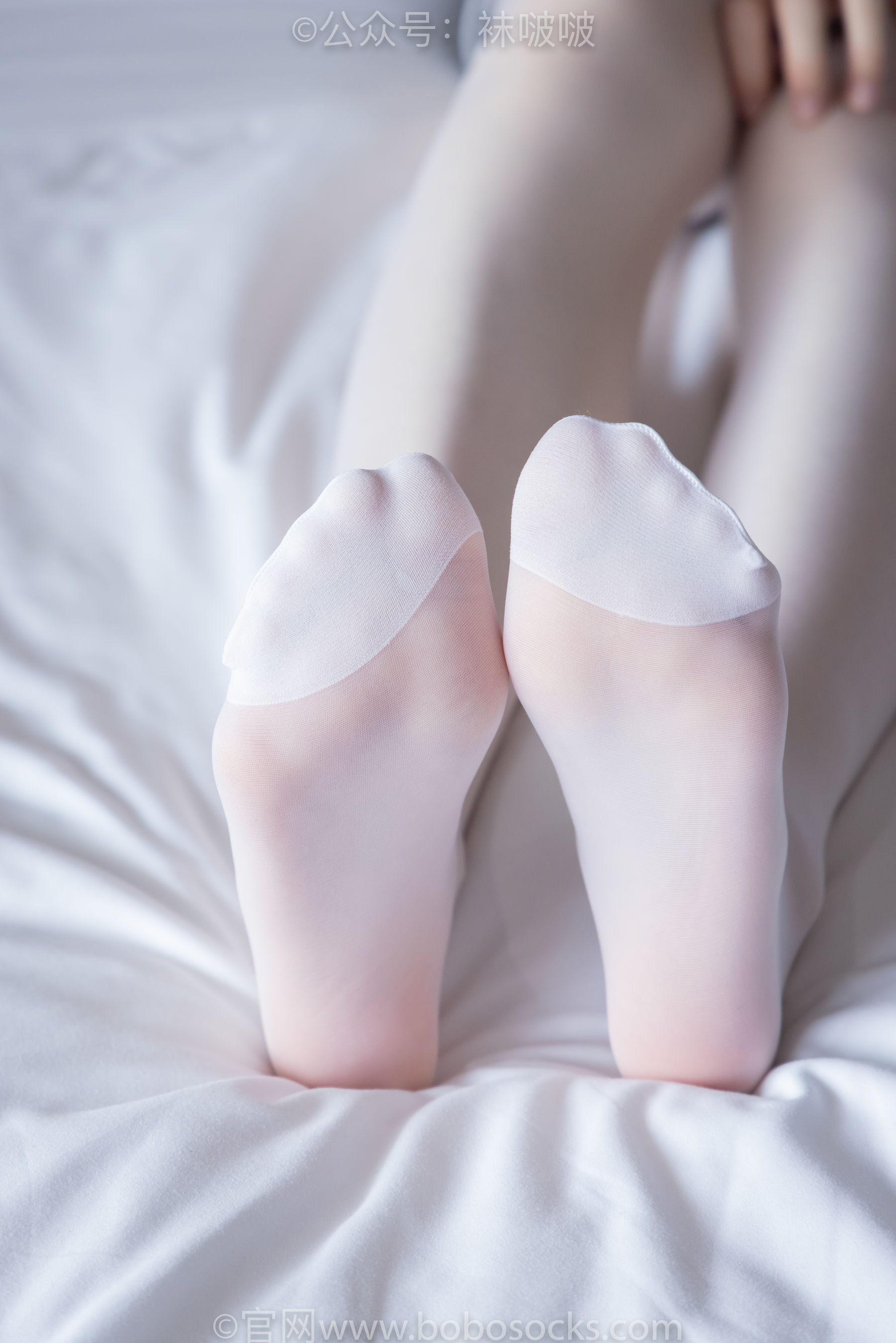 BoBoSocks袜啵啵 积分限定作品004 熊熊-板鞋、白棉袜、白丝