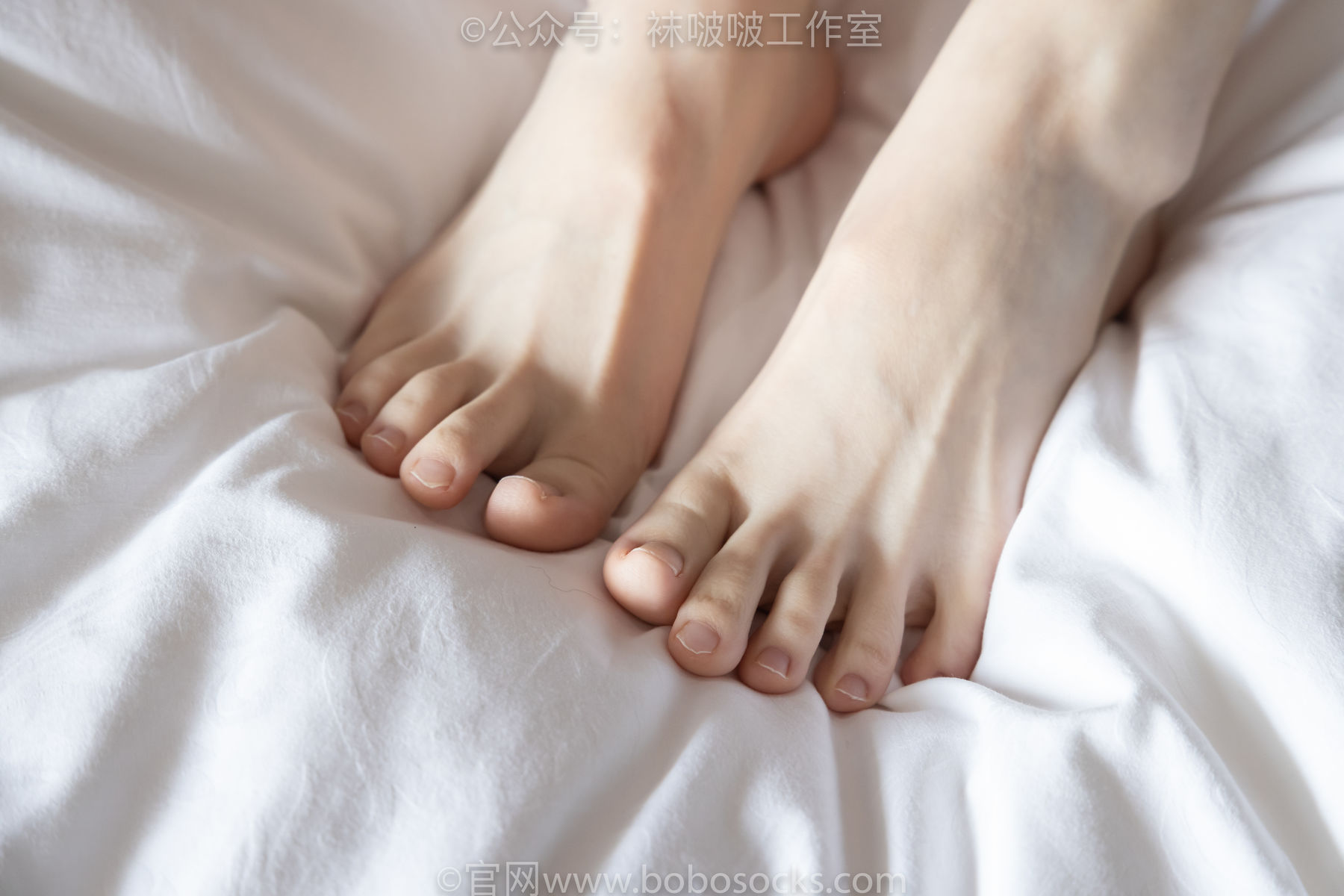 BoBoSocks袜啵啵 积分限定作品007 熊熊-运动鞋、白棉袜、裸足