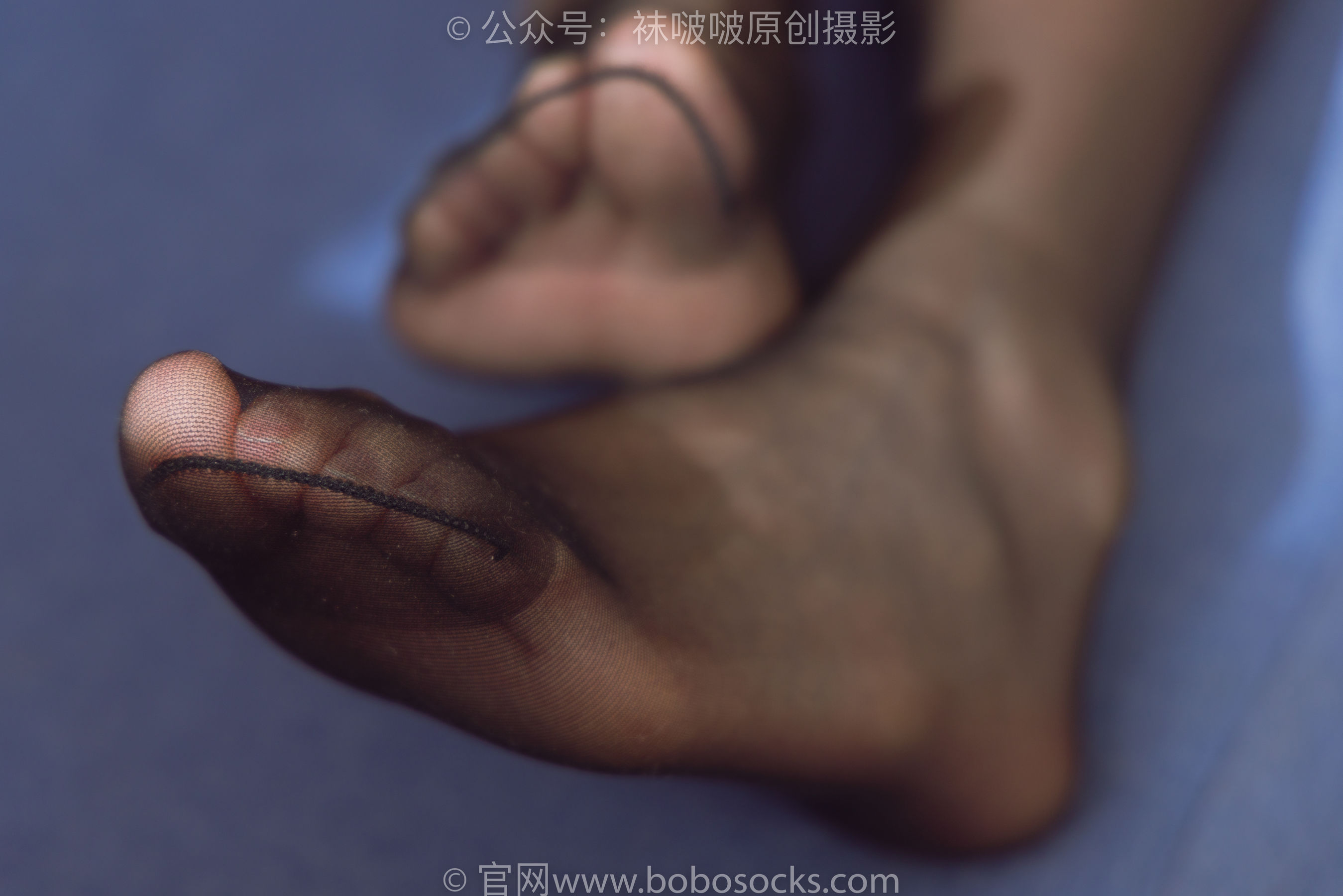 BoBoSocks袜啵啵 No.203 三双靴子、黑丝、网袜