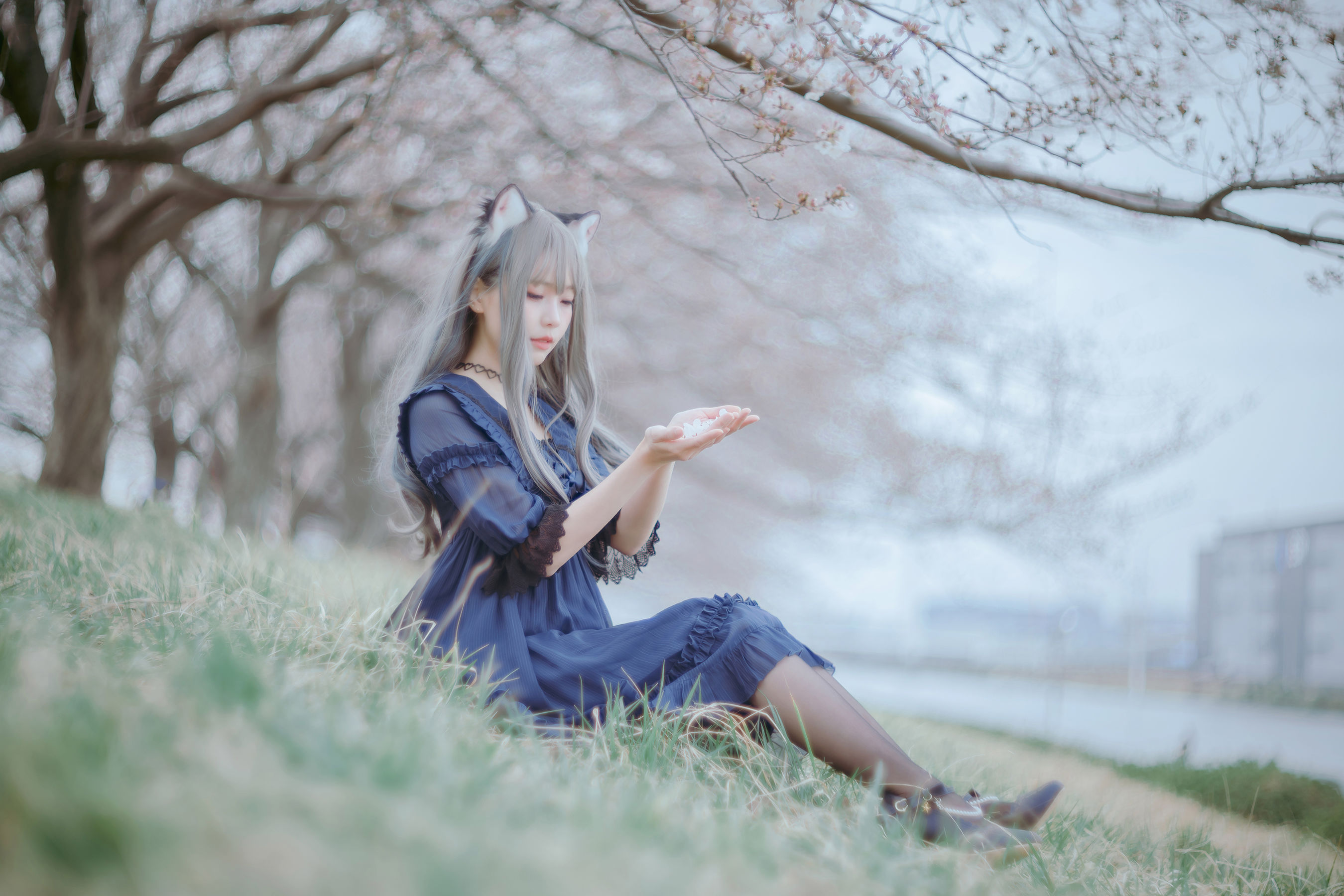 Ely_eee(ElyEE子) - Sakura