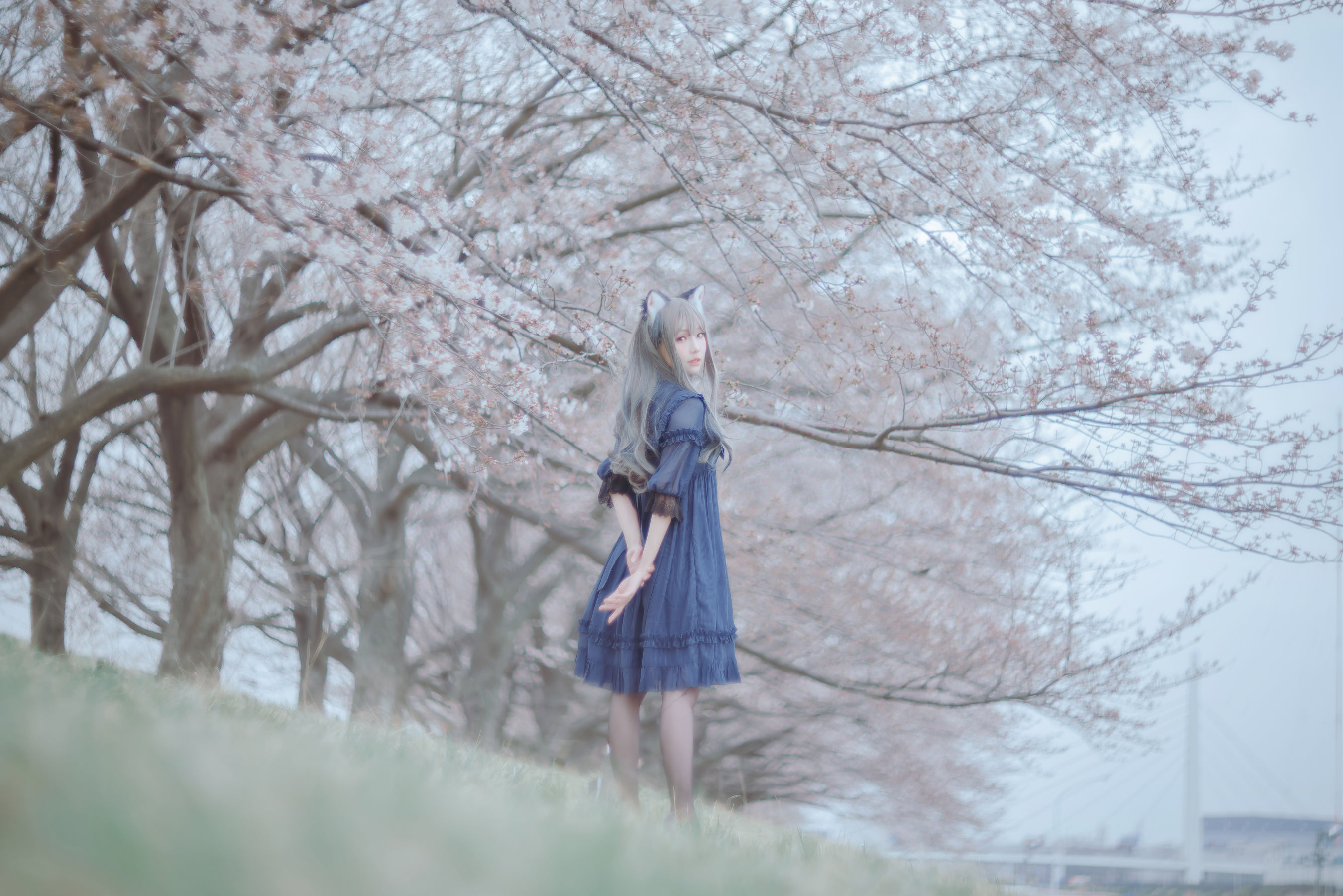 Ely_eee(ElyEE子) - Sakura