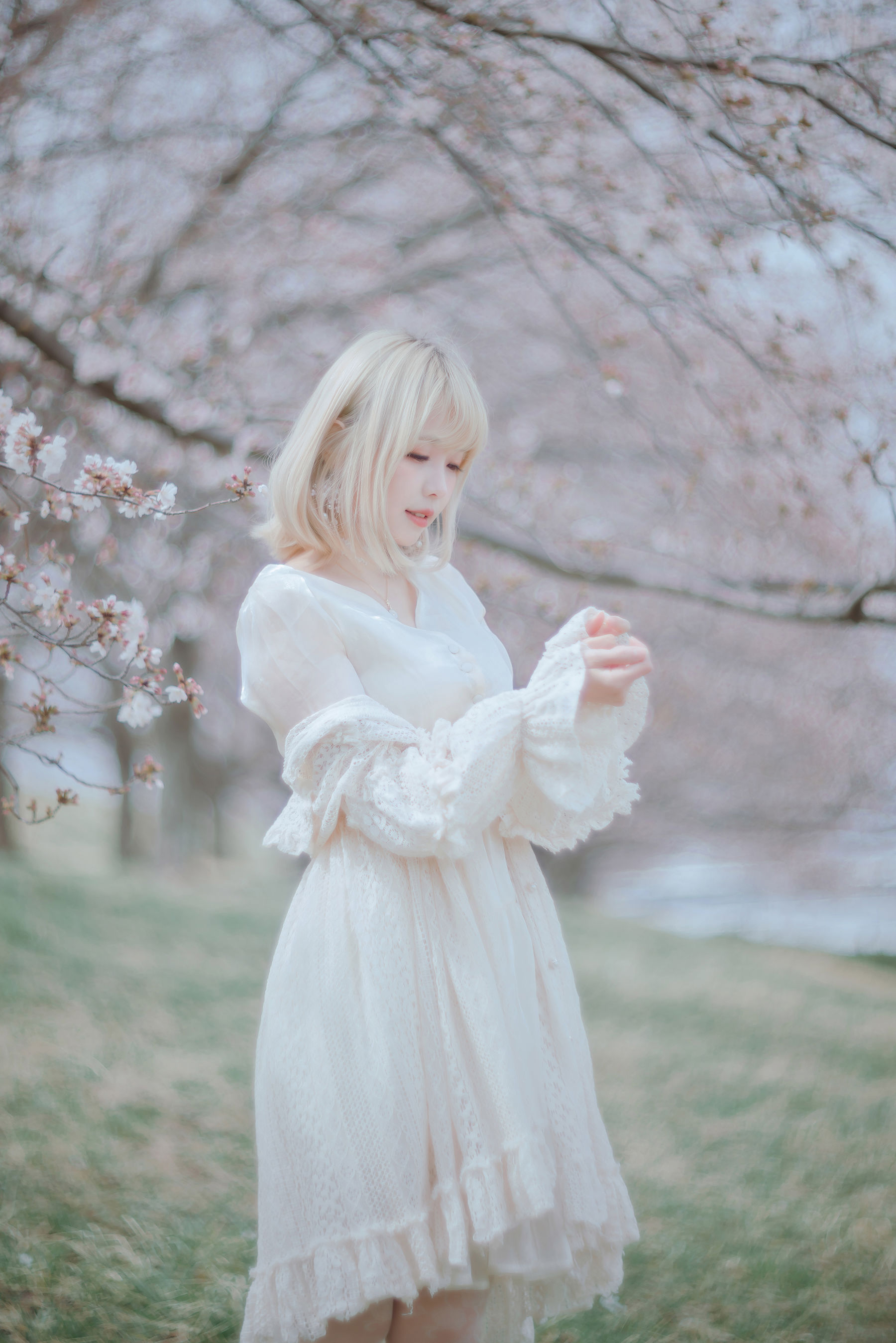Ely_eee(ElyEE子) - Sakura