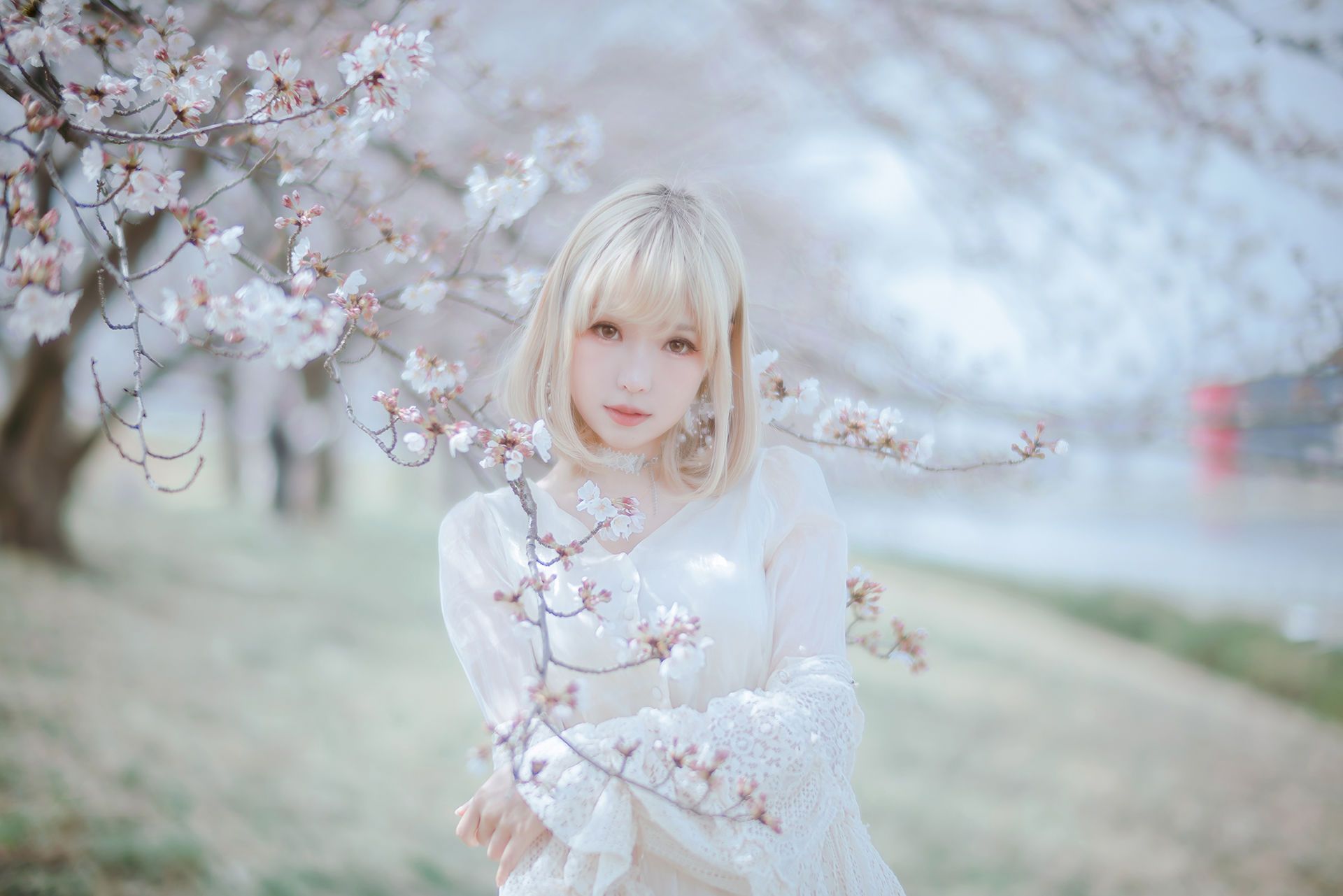 Ely_eee(ElyEE子) - Sakura