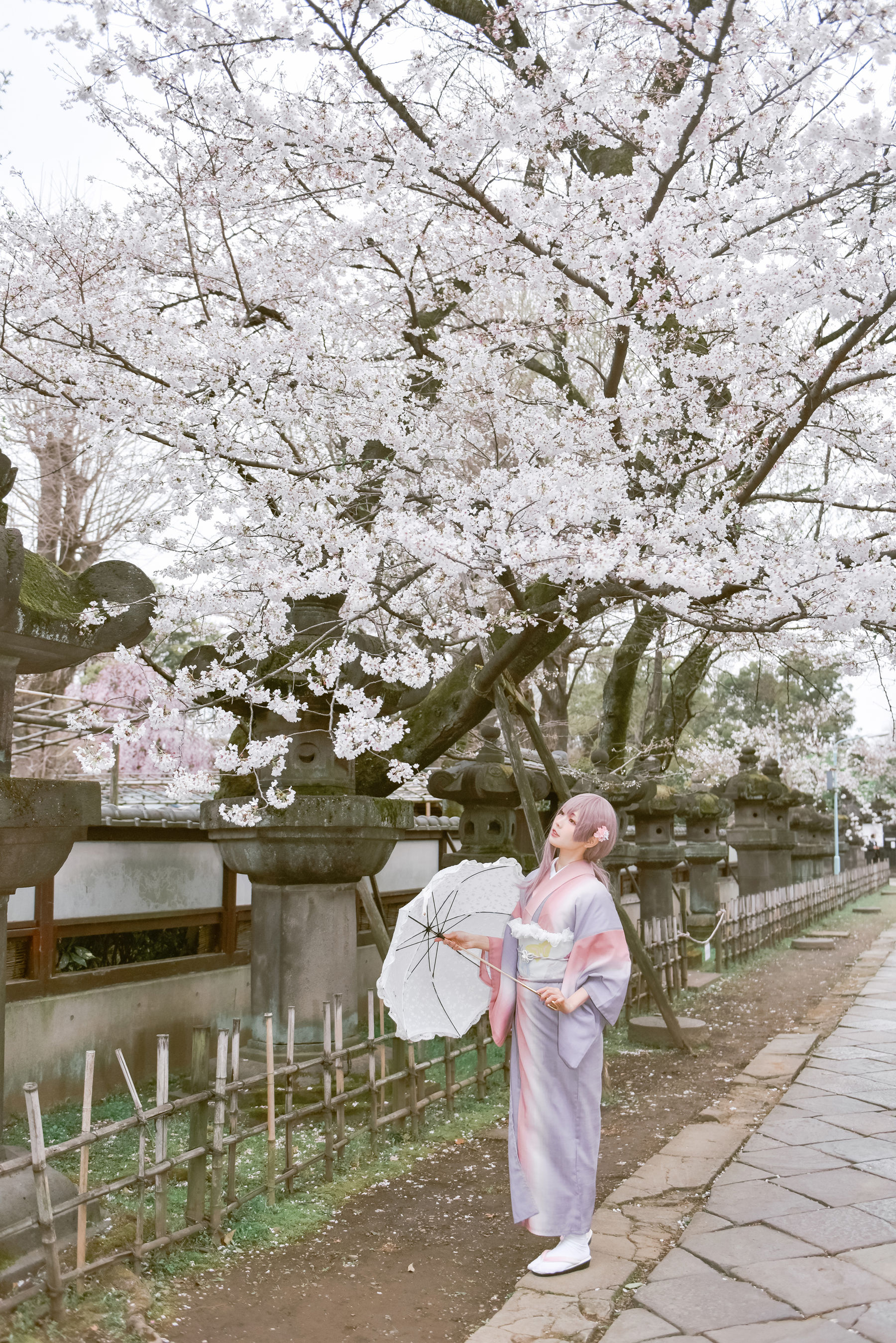 Ely_eee(ElyEE子) - Sakura