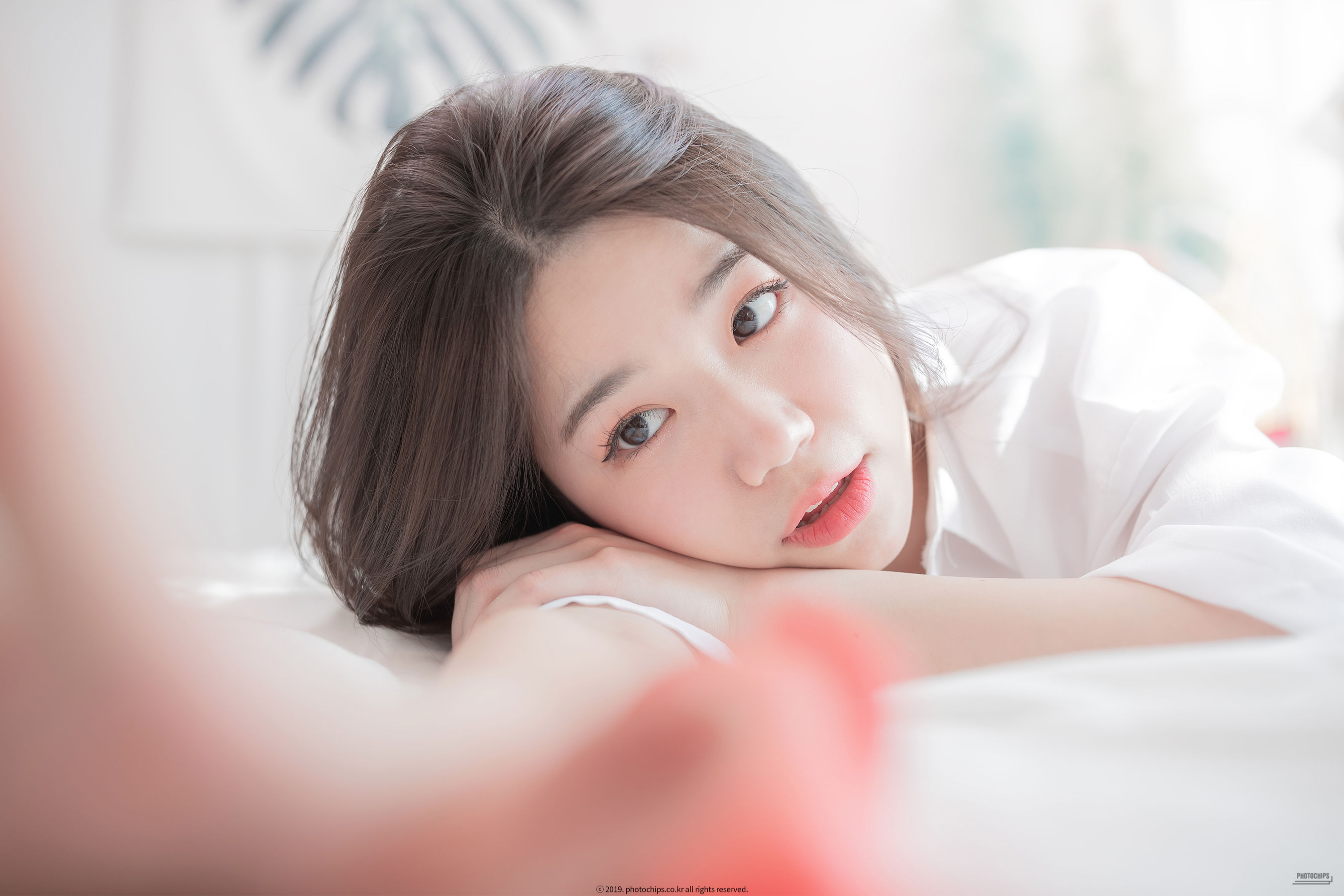 [Photochips] Vol.85 - Hyeseong No.1