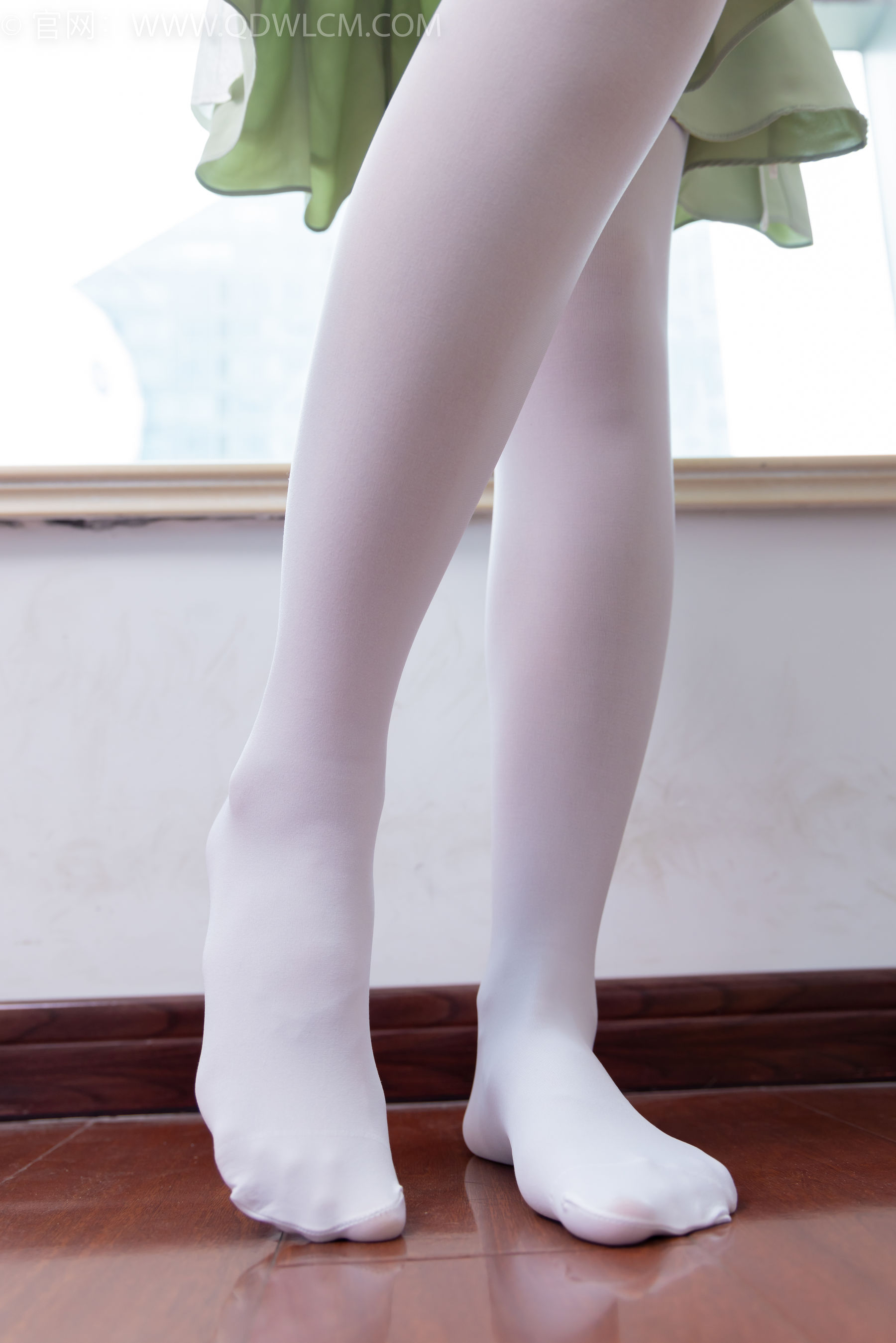 物恋传媒 No.1547 菜菜-绿野仙踪