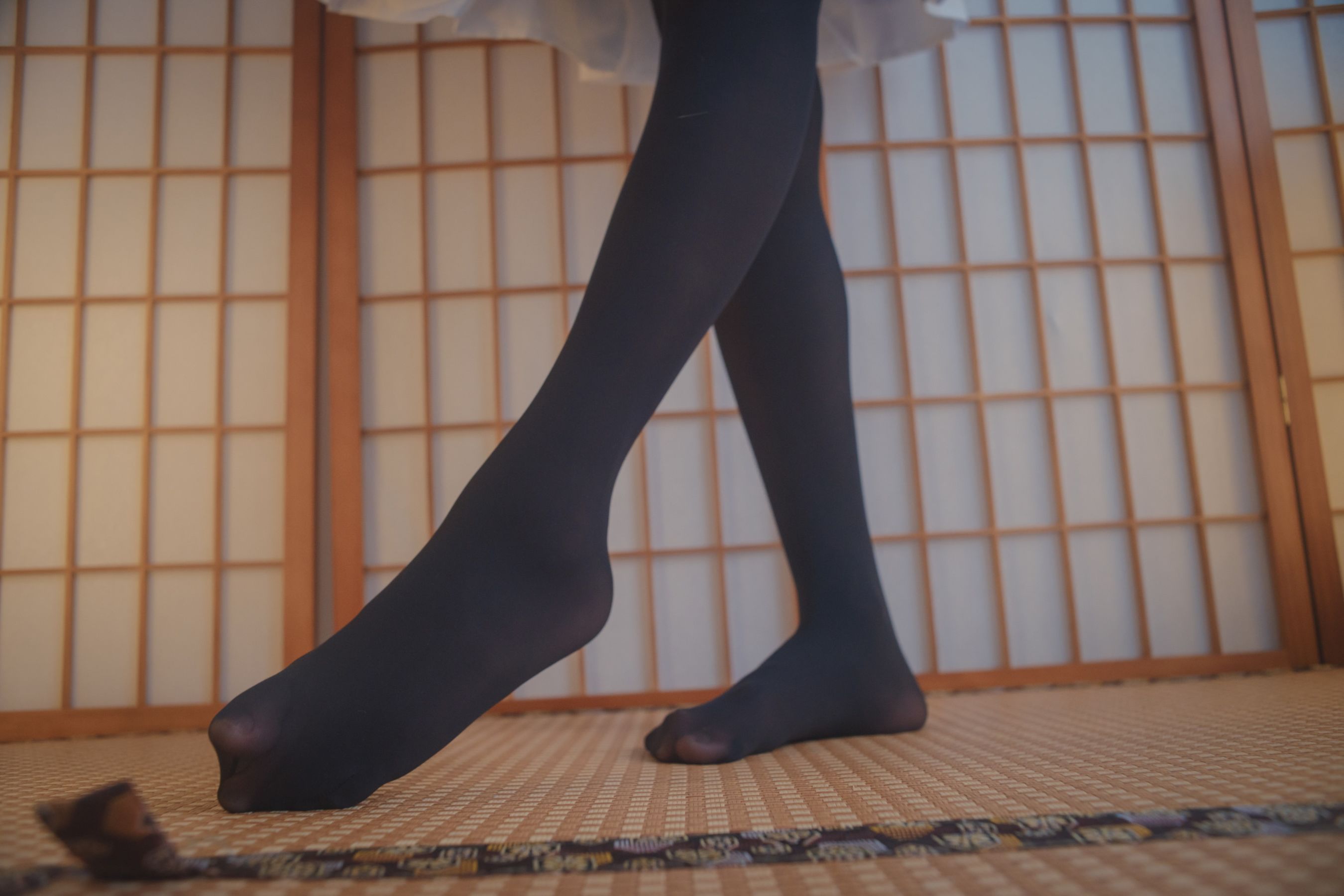 福利姬木花琳琳是勇者 - 95式